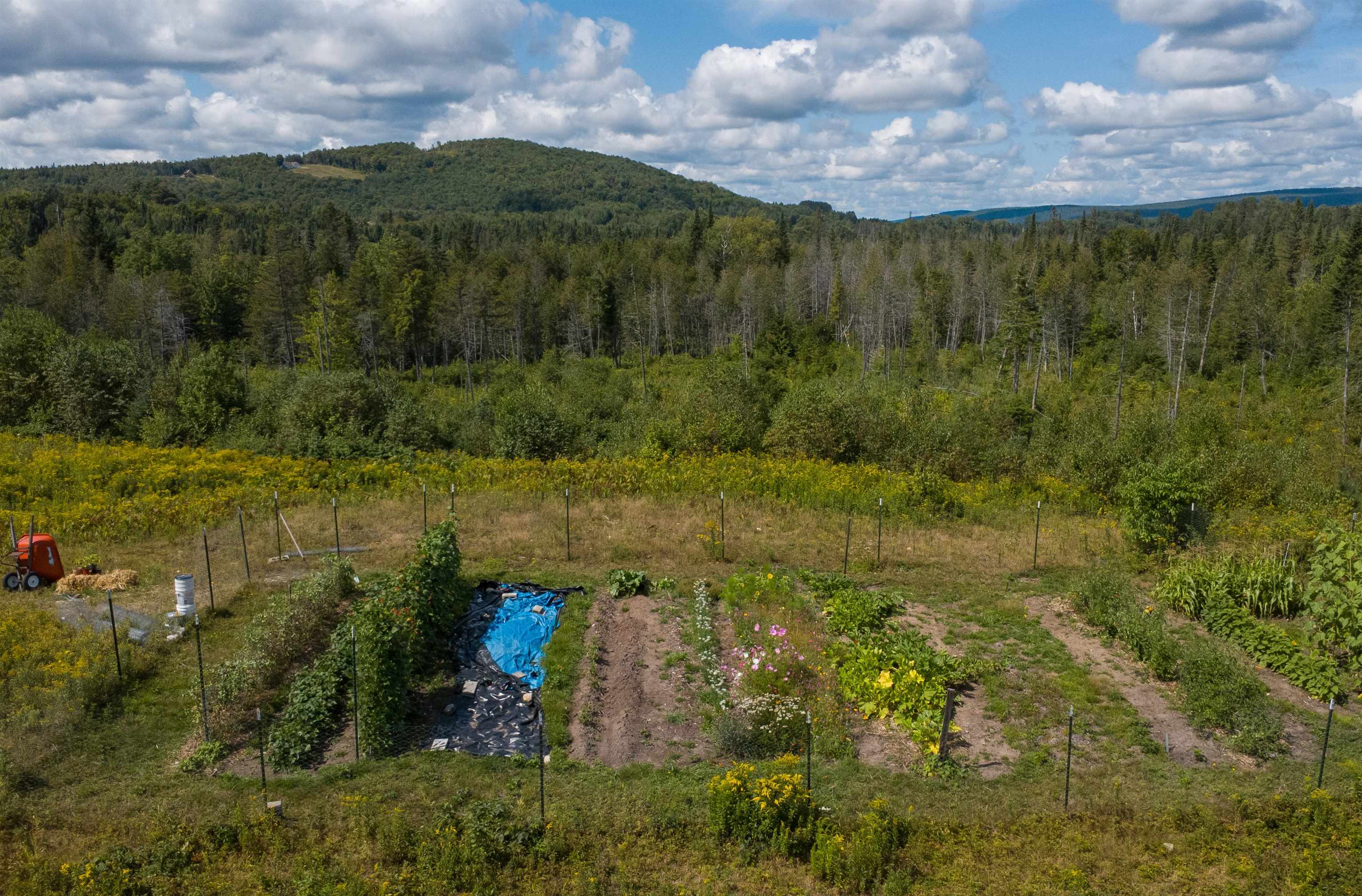 main property photo 51