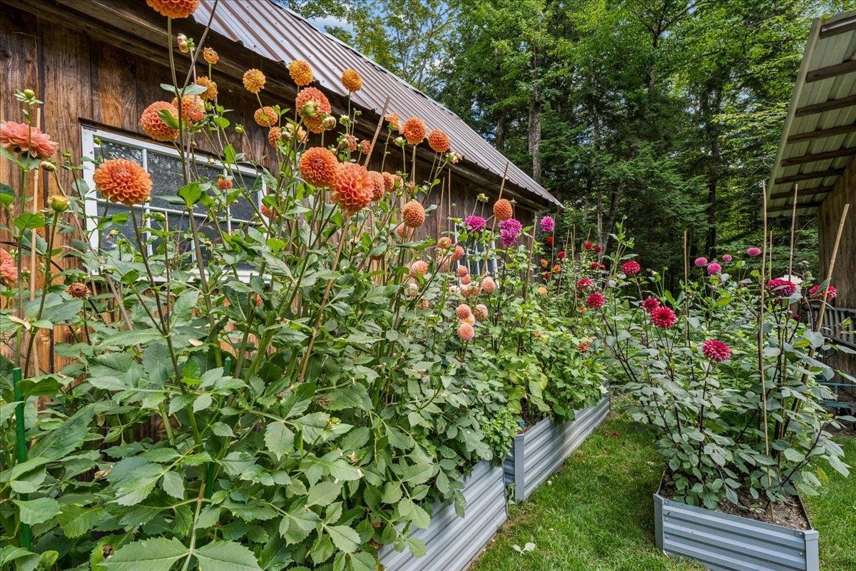 main property photo 47
