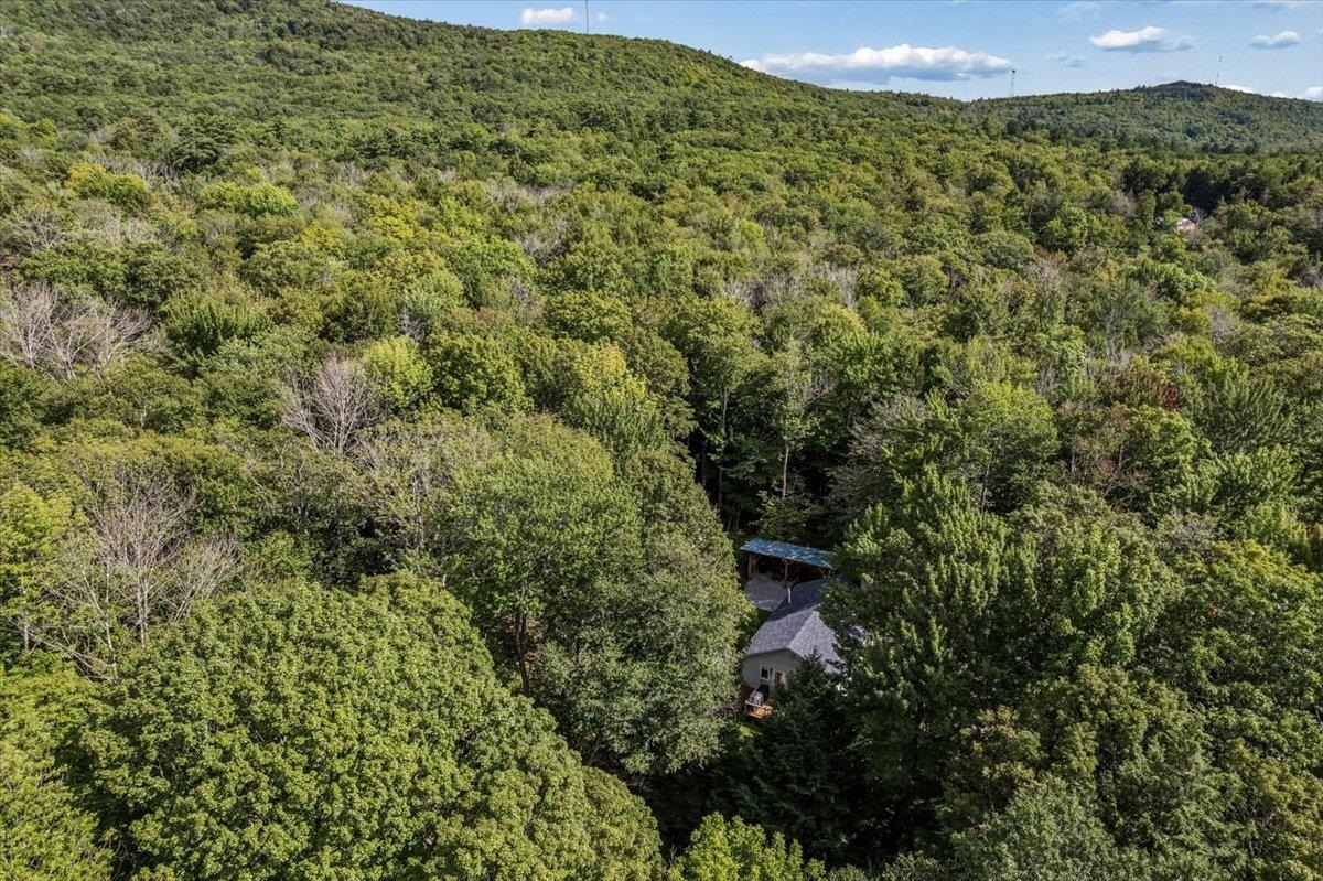 main property photo 54