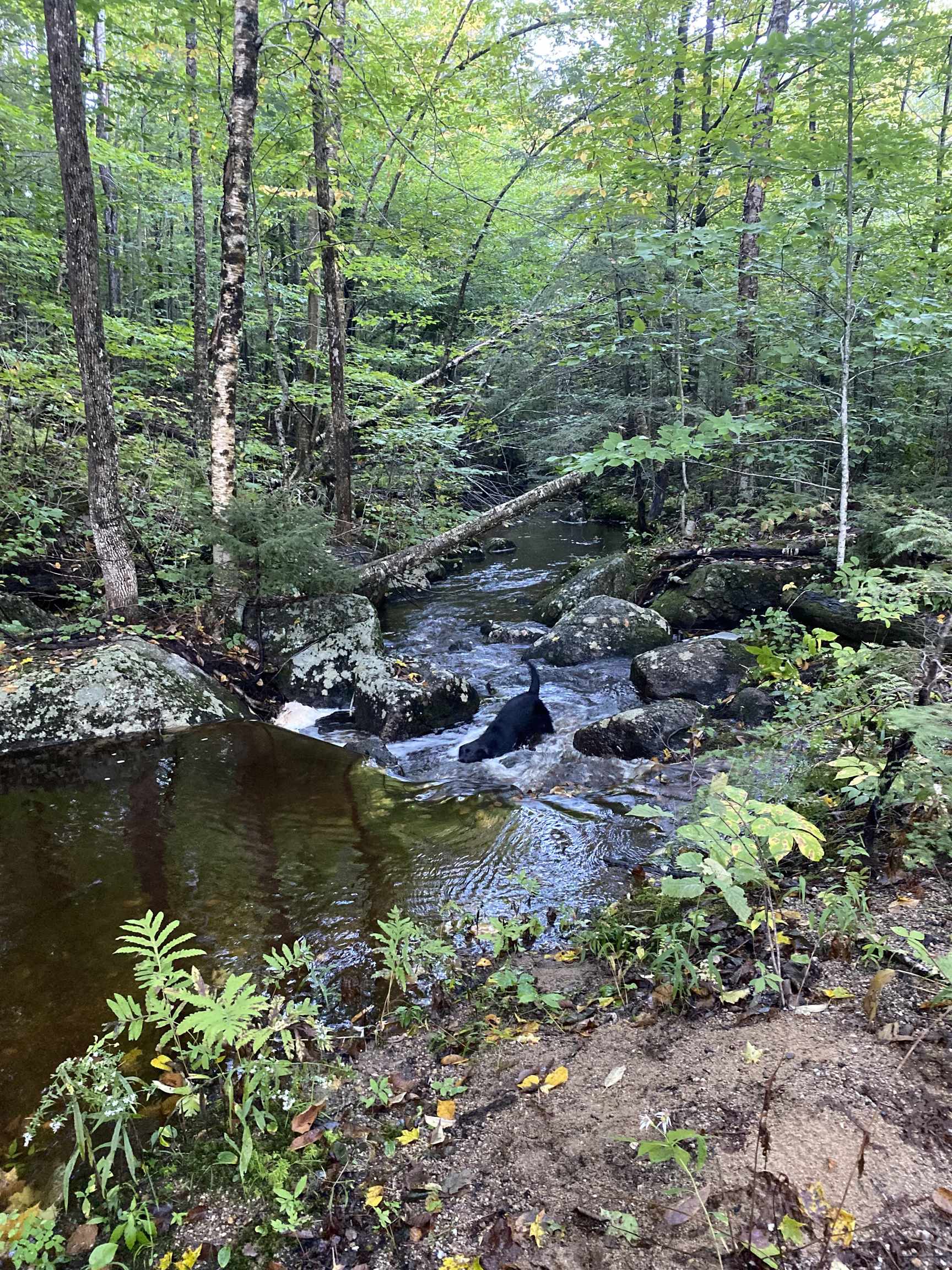 main property photo 29