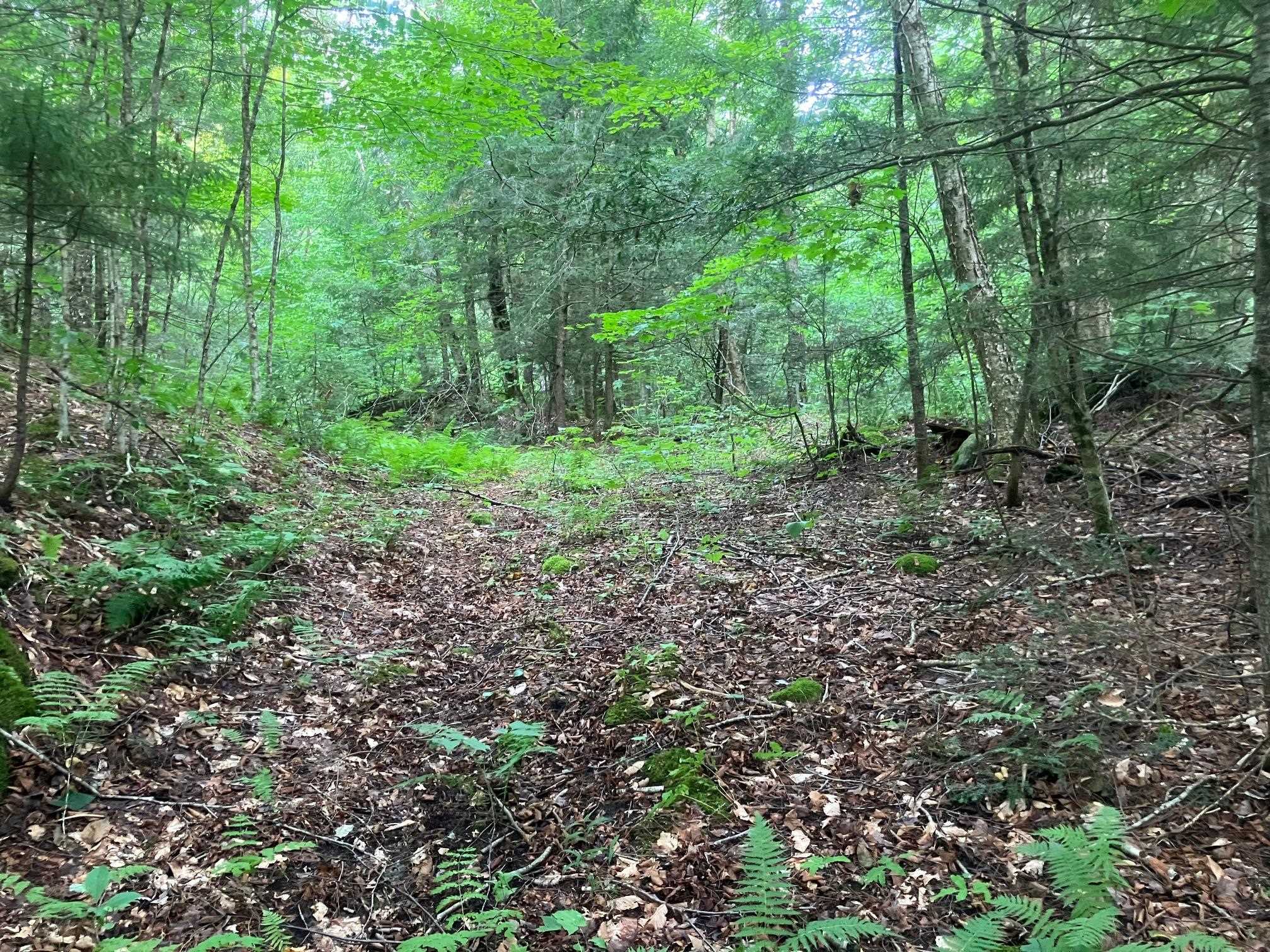 main property photo 38