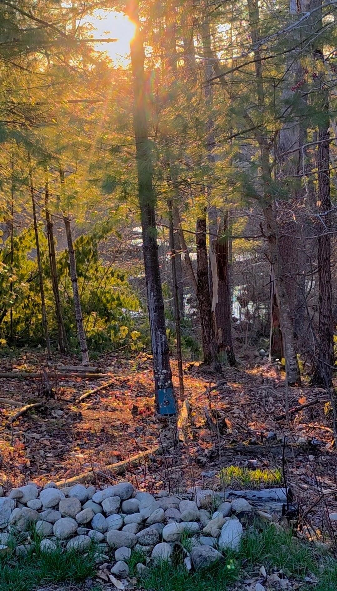 main property photo 58