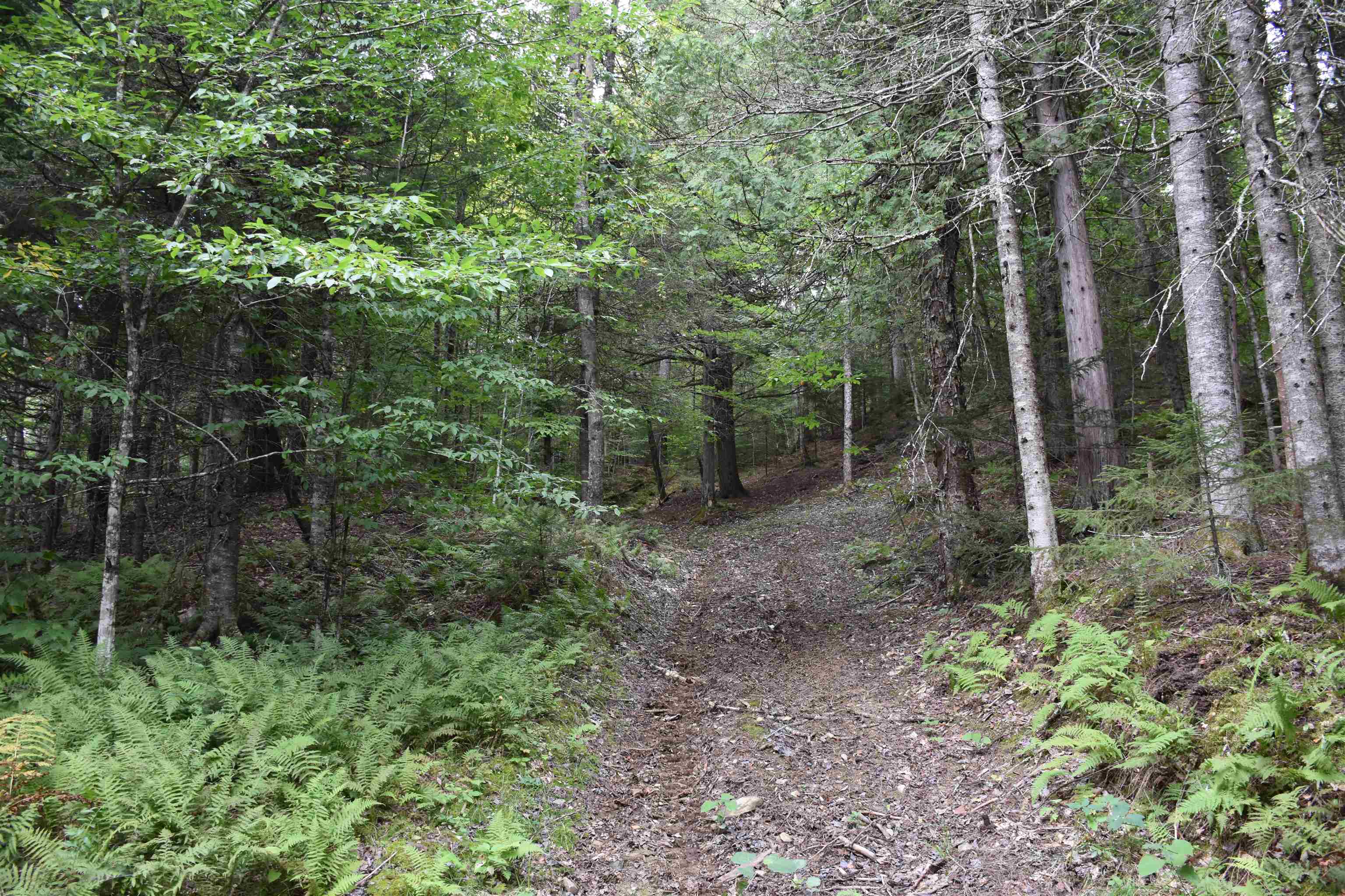 main property photo 41