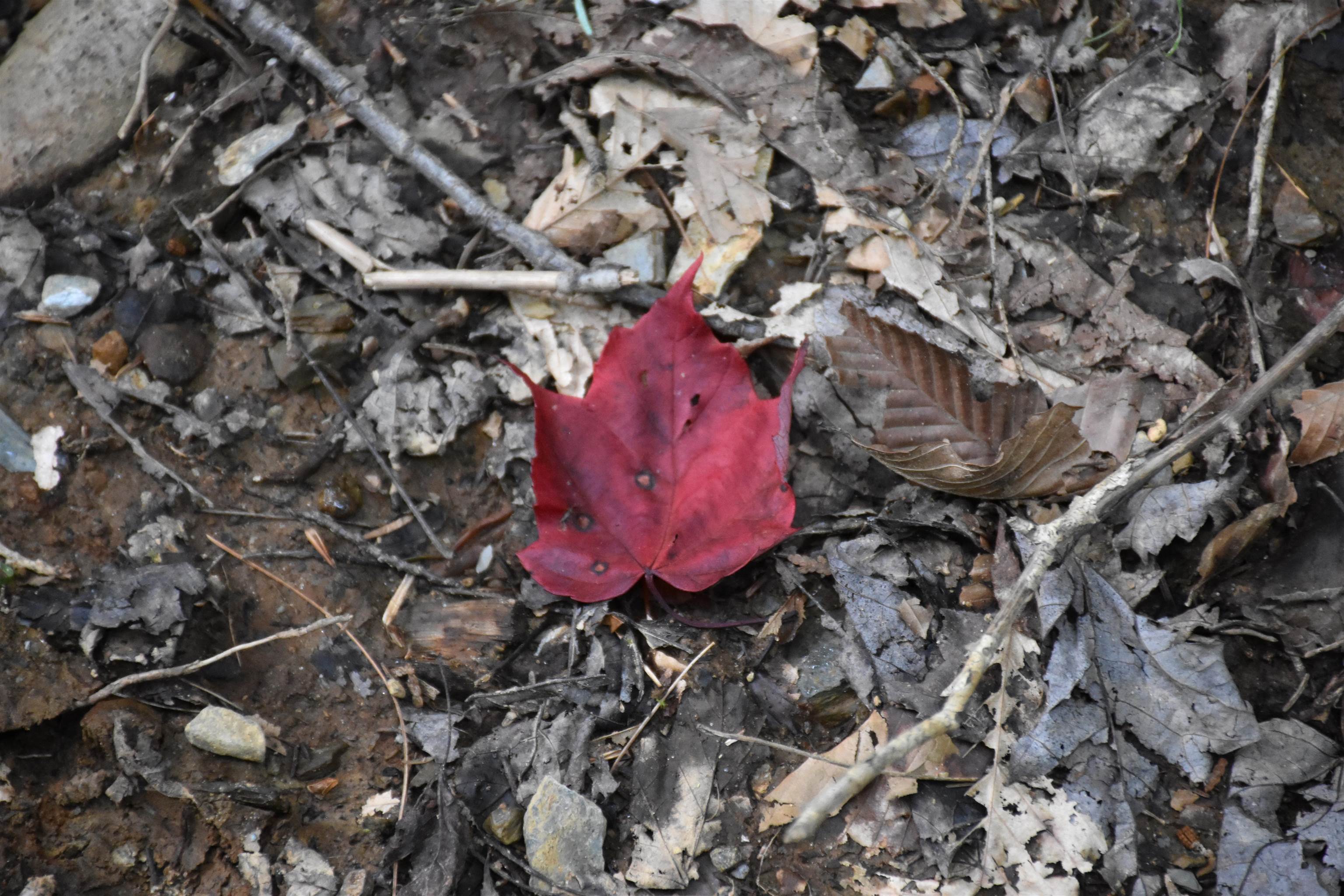 main property photo 50