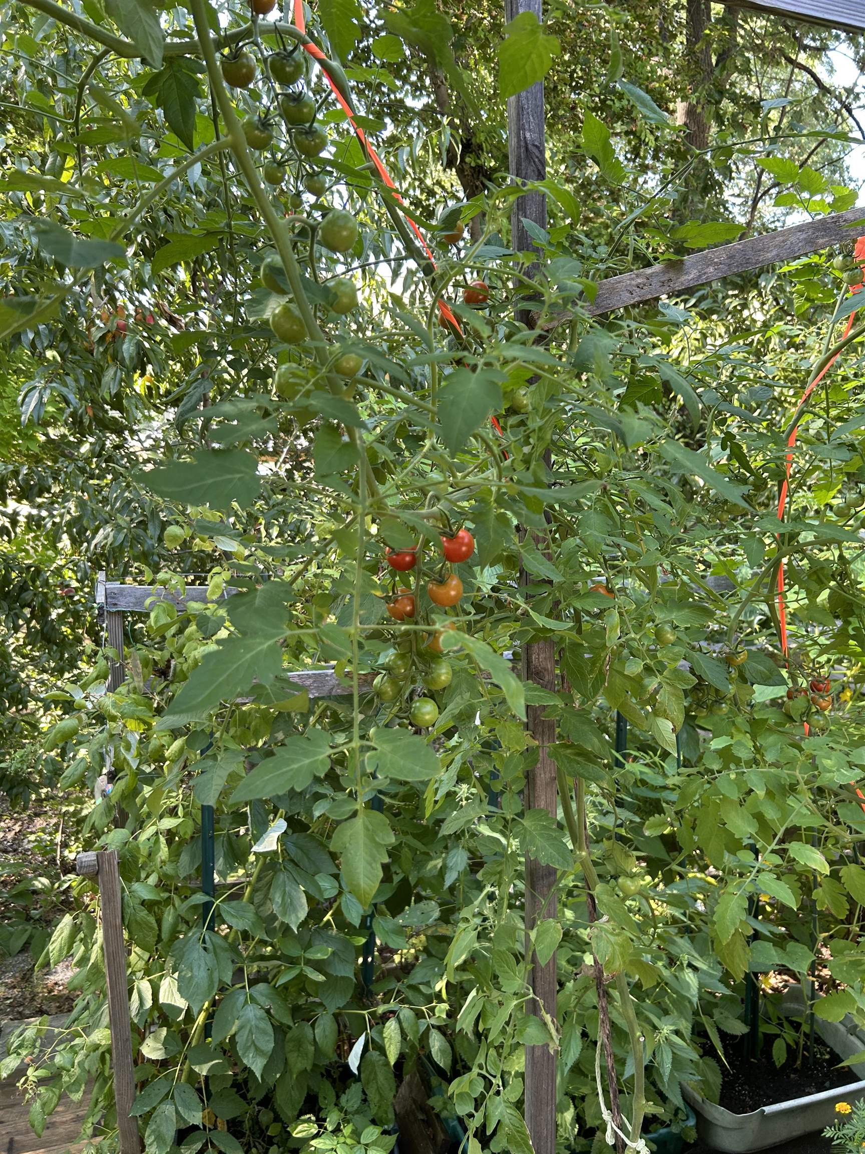 main property photo 32