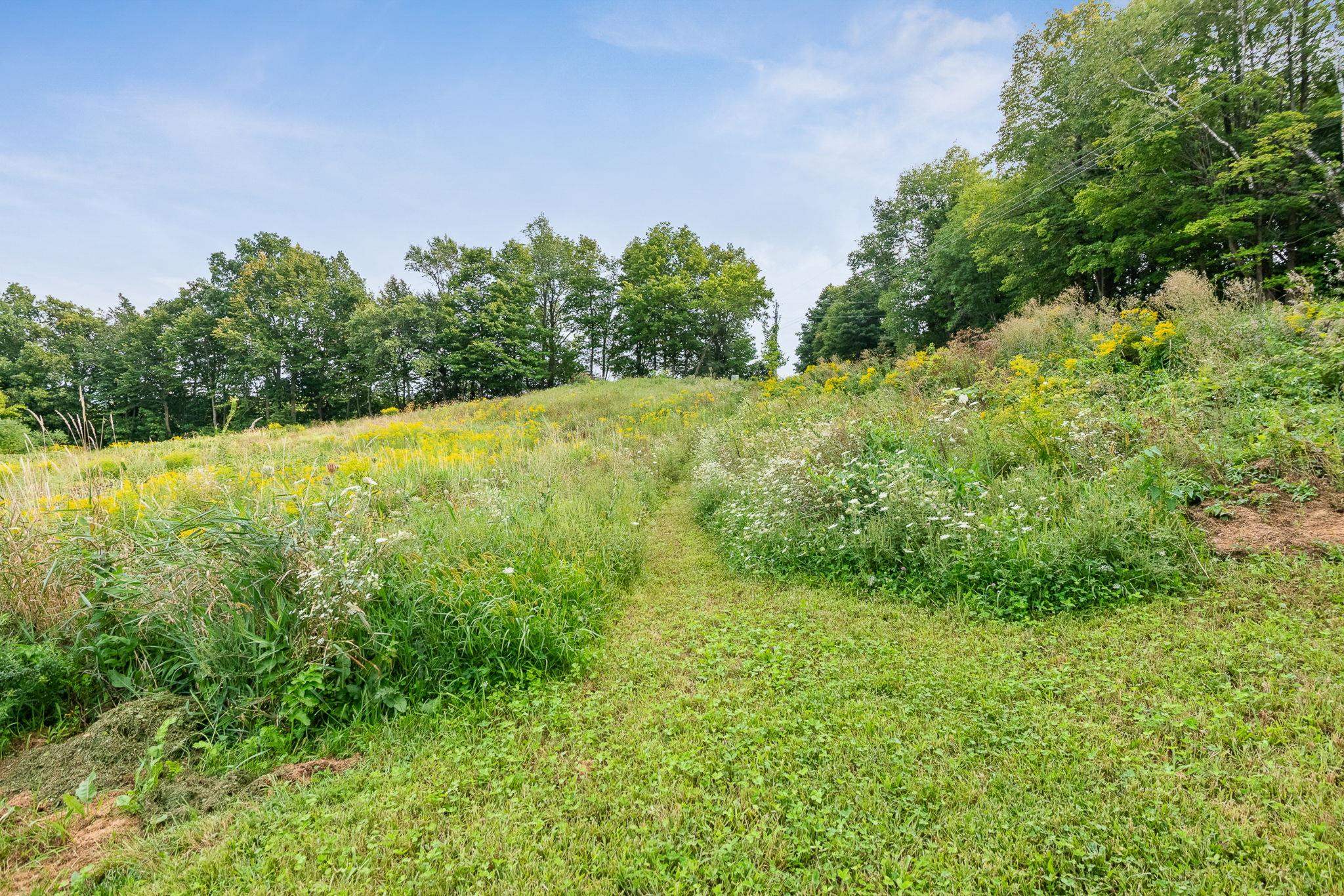 main property photo 56