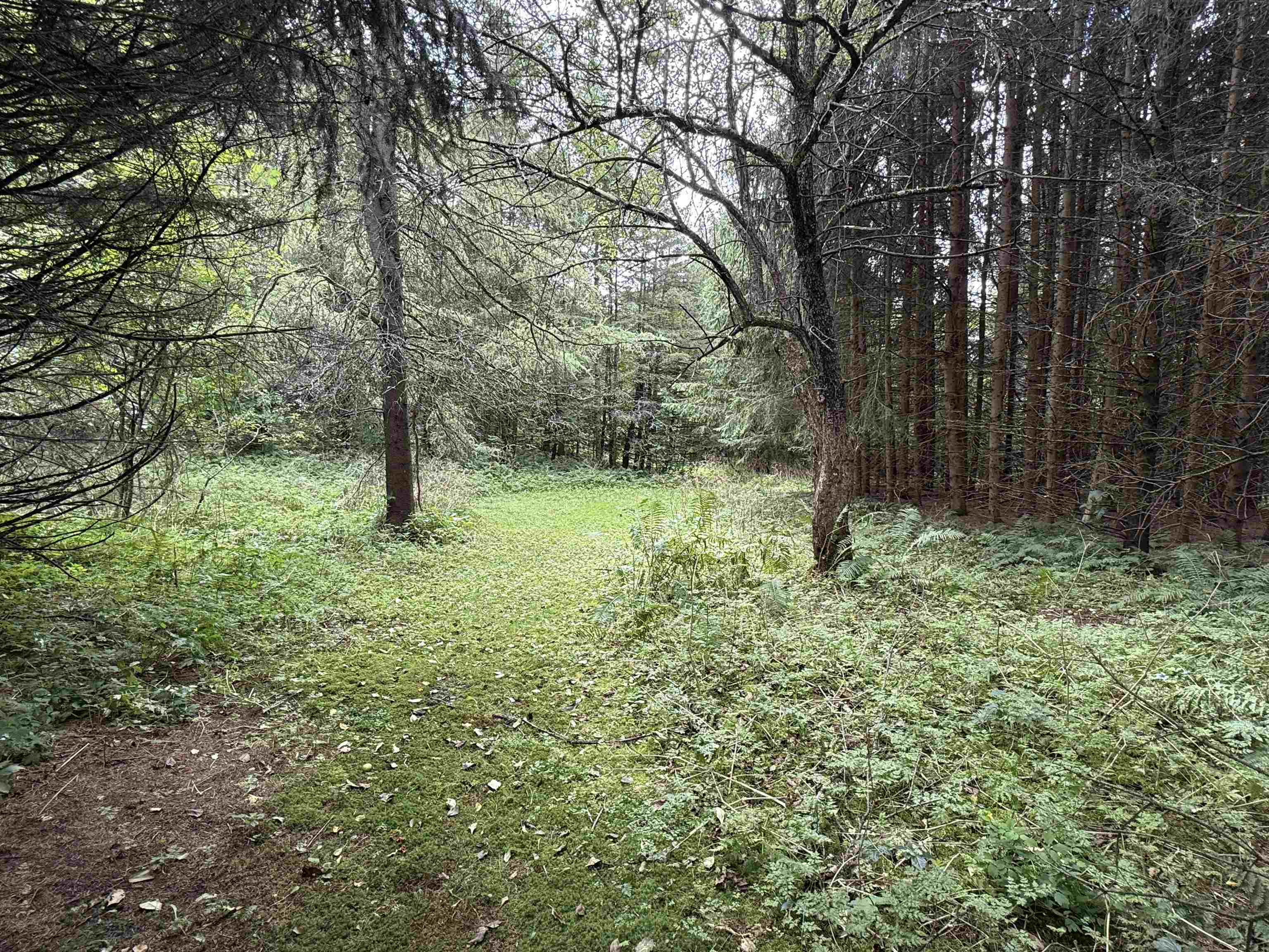 main property photo 35