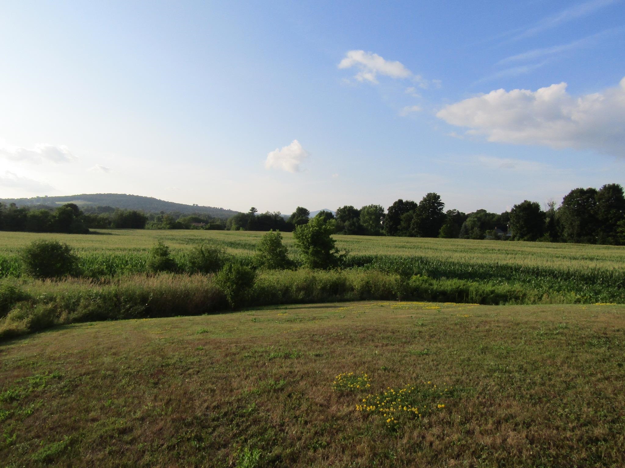 main property photo 54