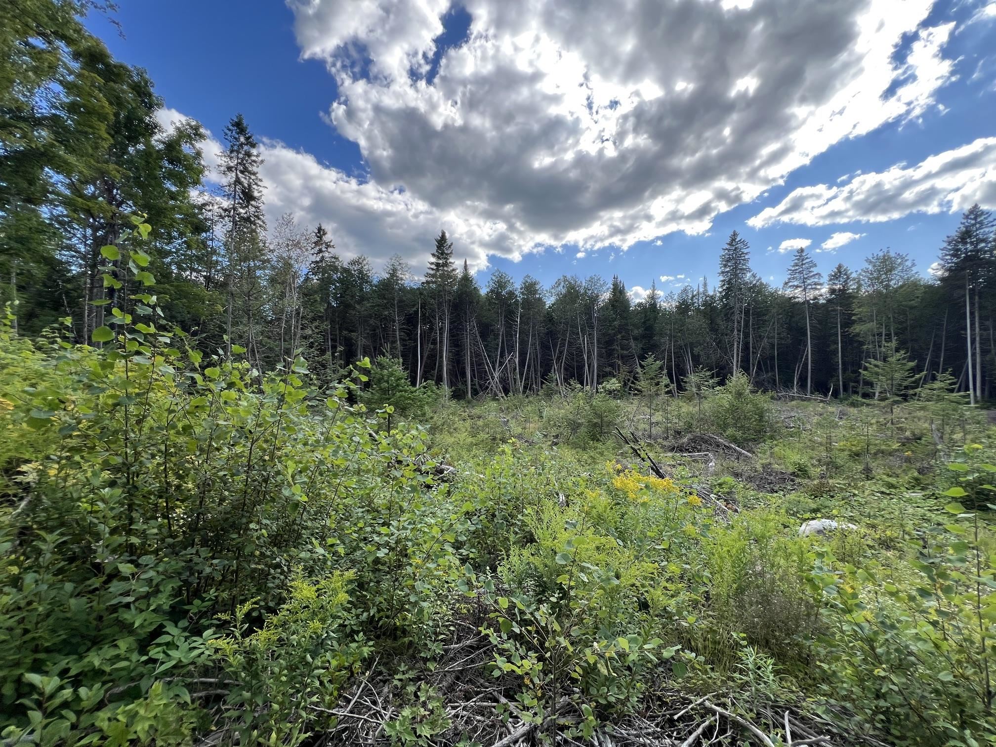 main property photo 45
