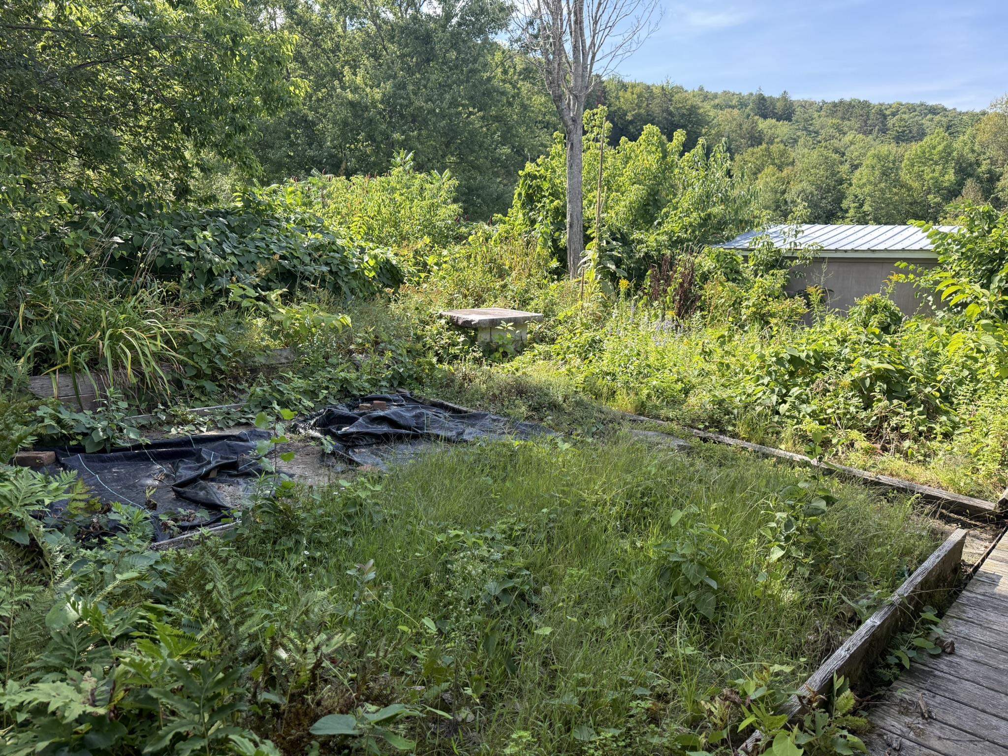 main property photo 21