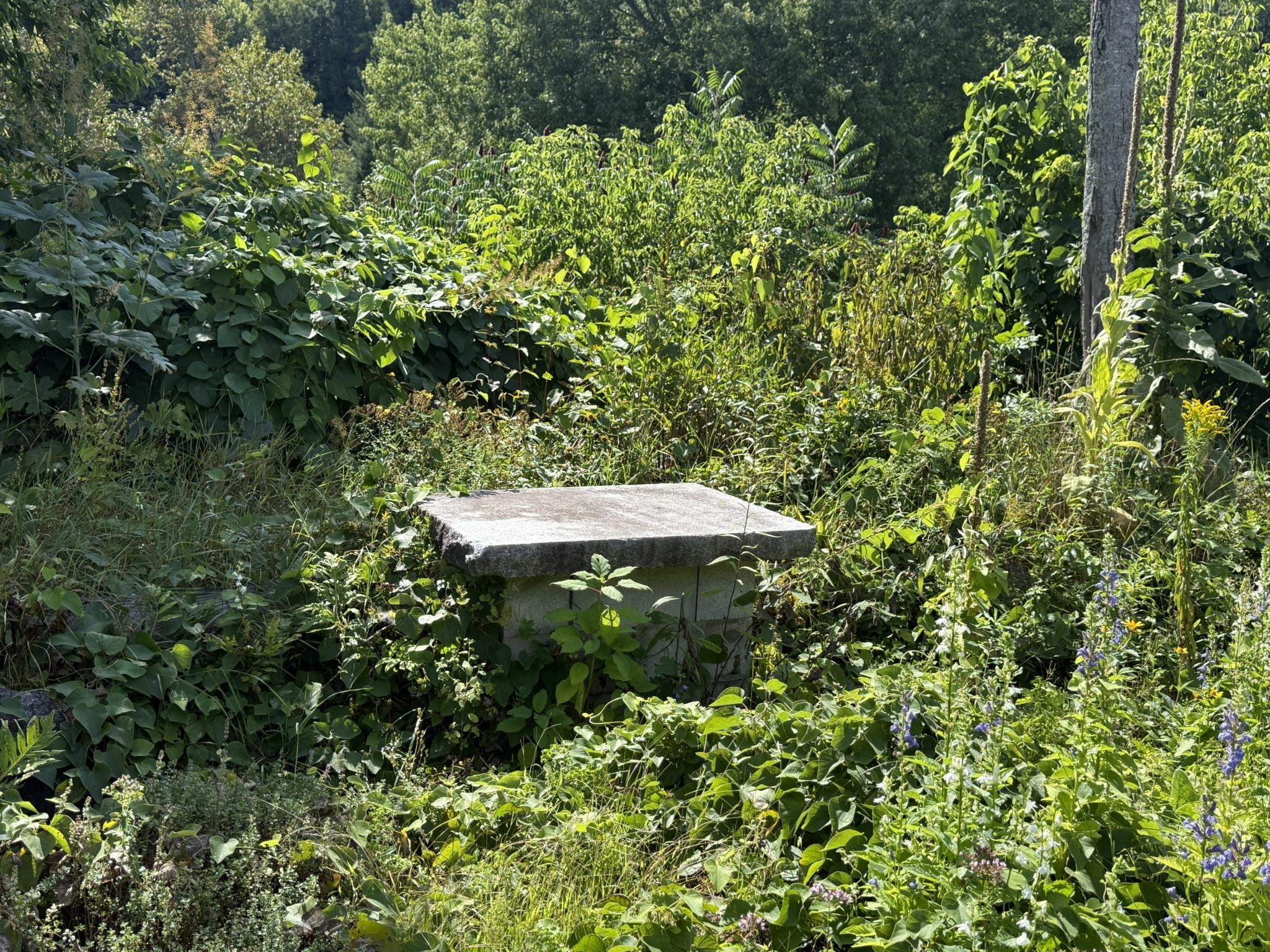 main property photo 23