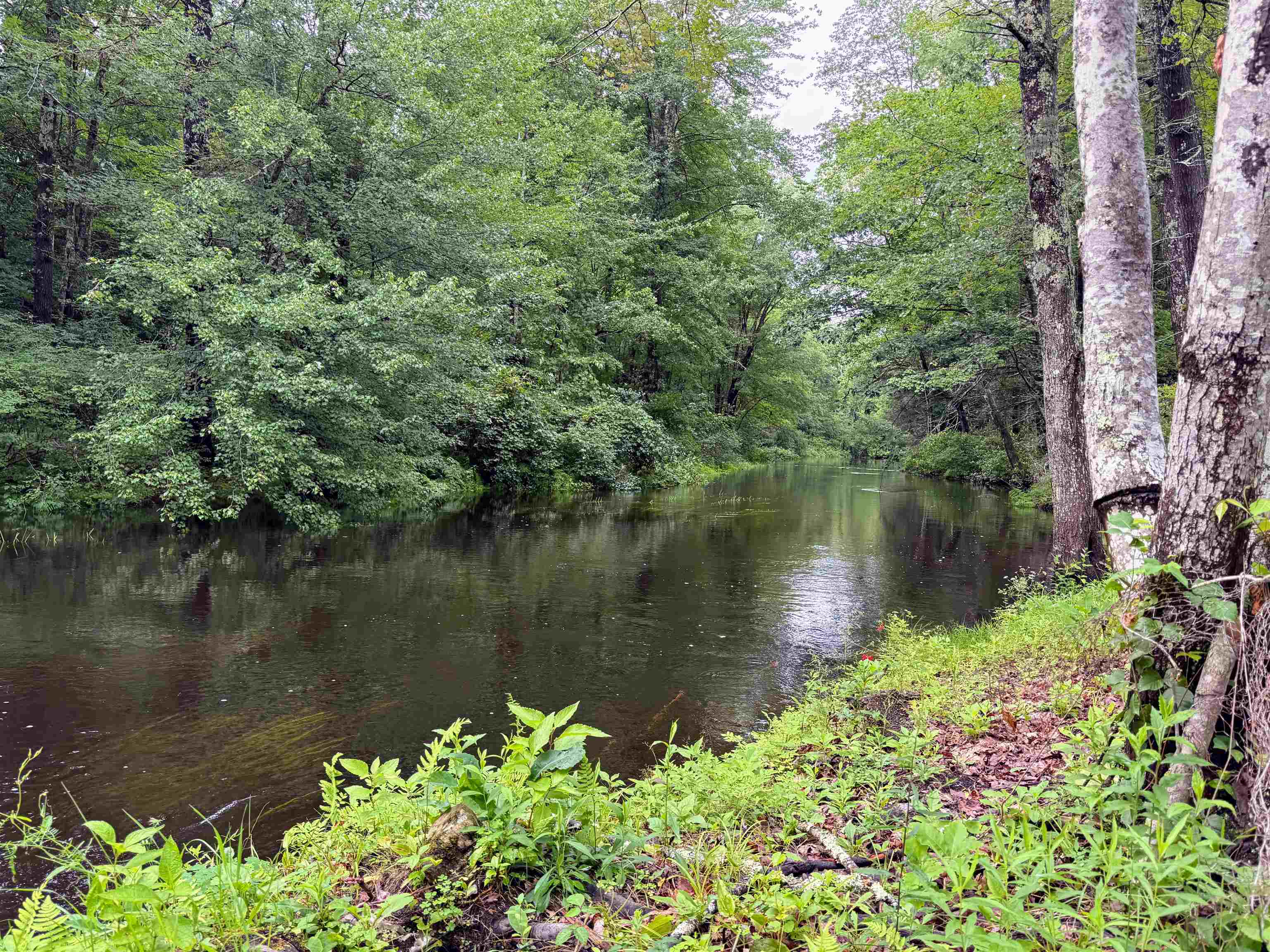 main property photo 54