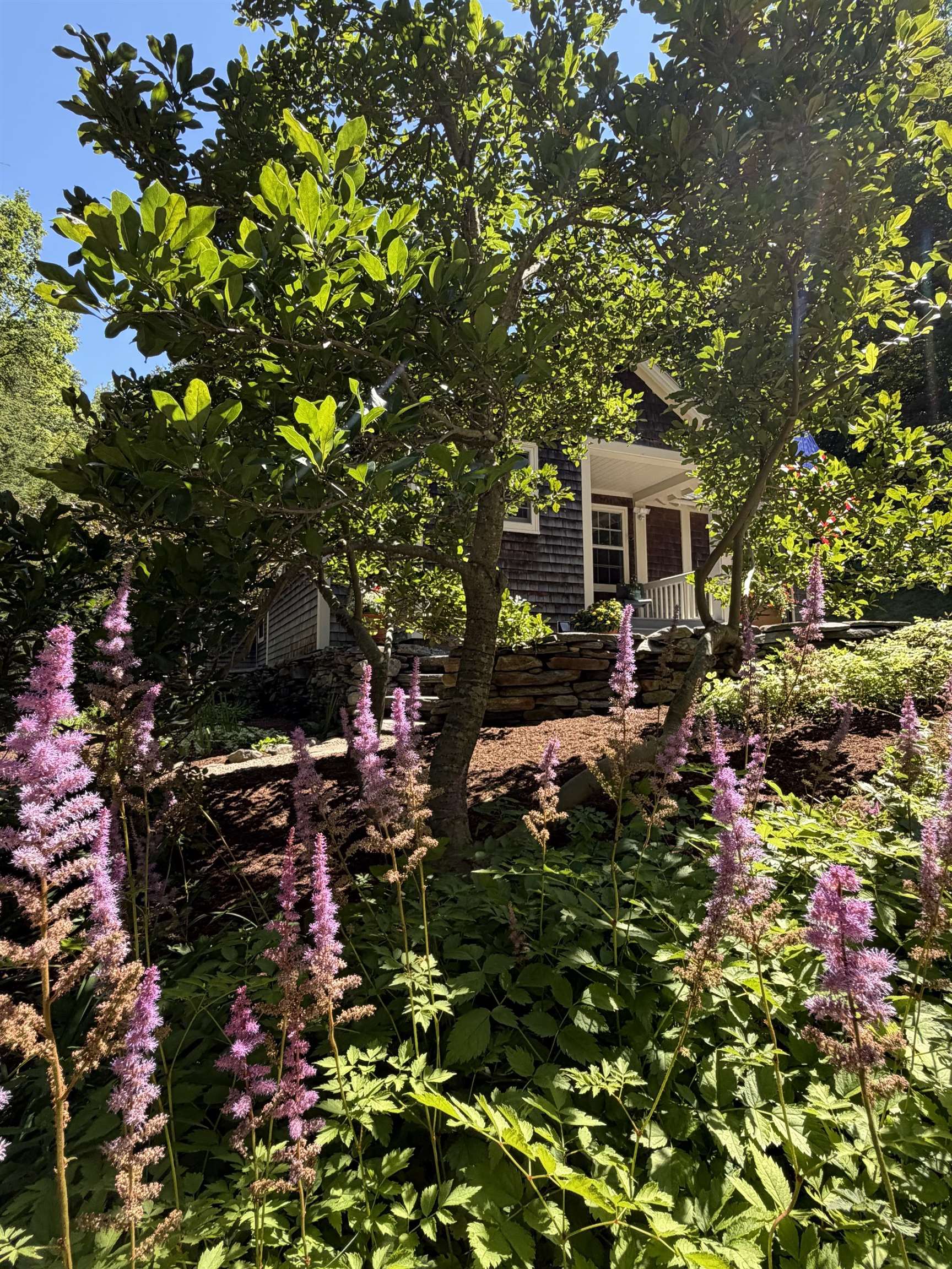 main property photo 49