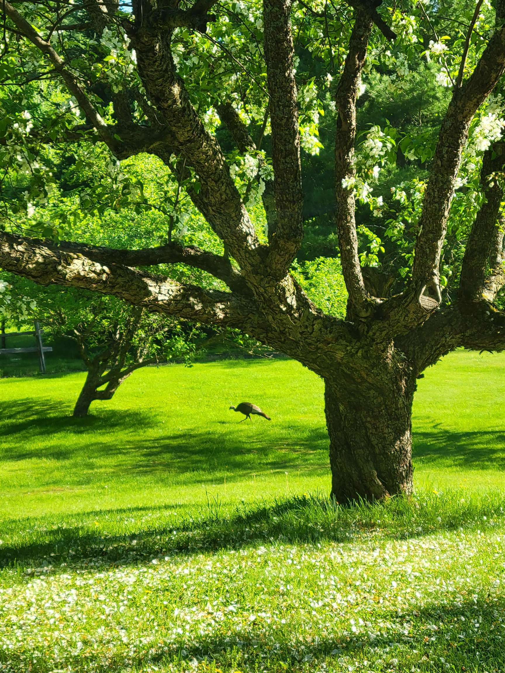 main property photo 37