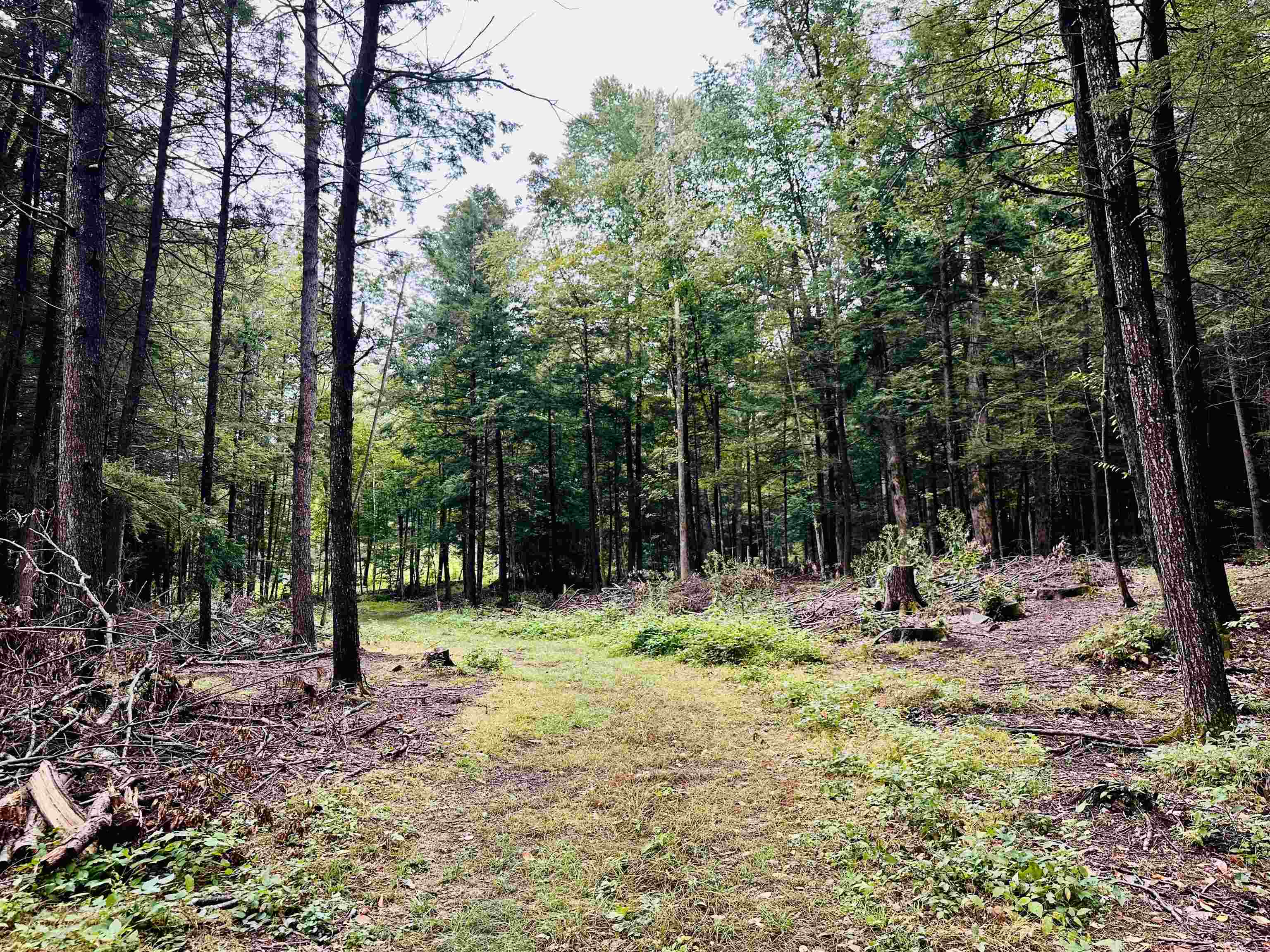 main property photo 0