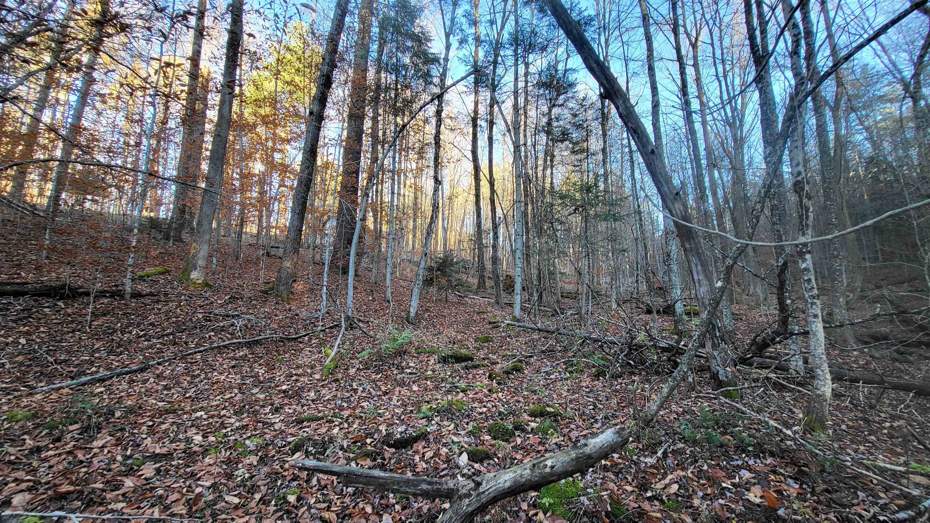main property photo 7