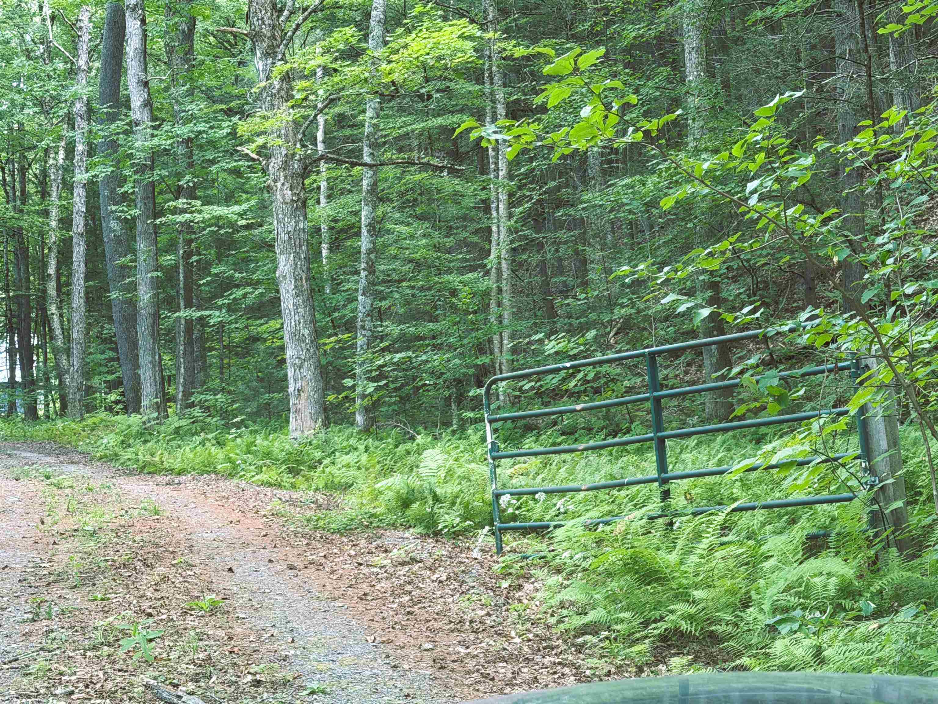 main property photo 29