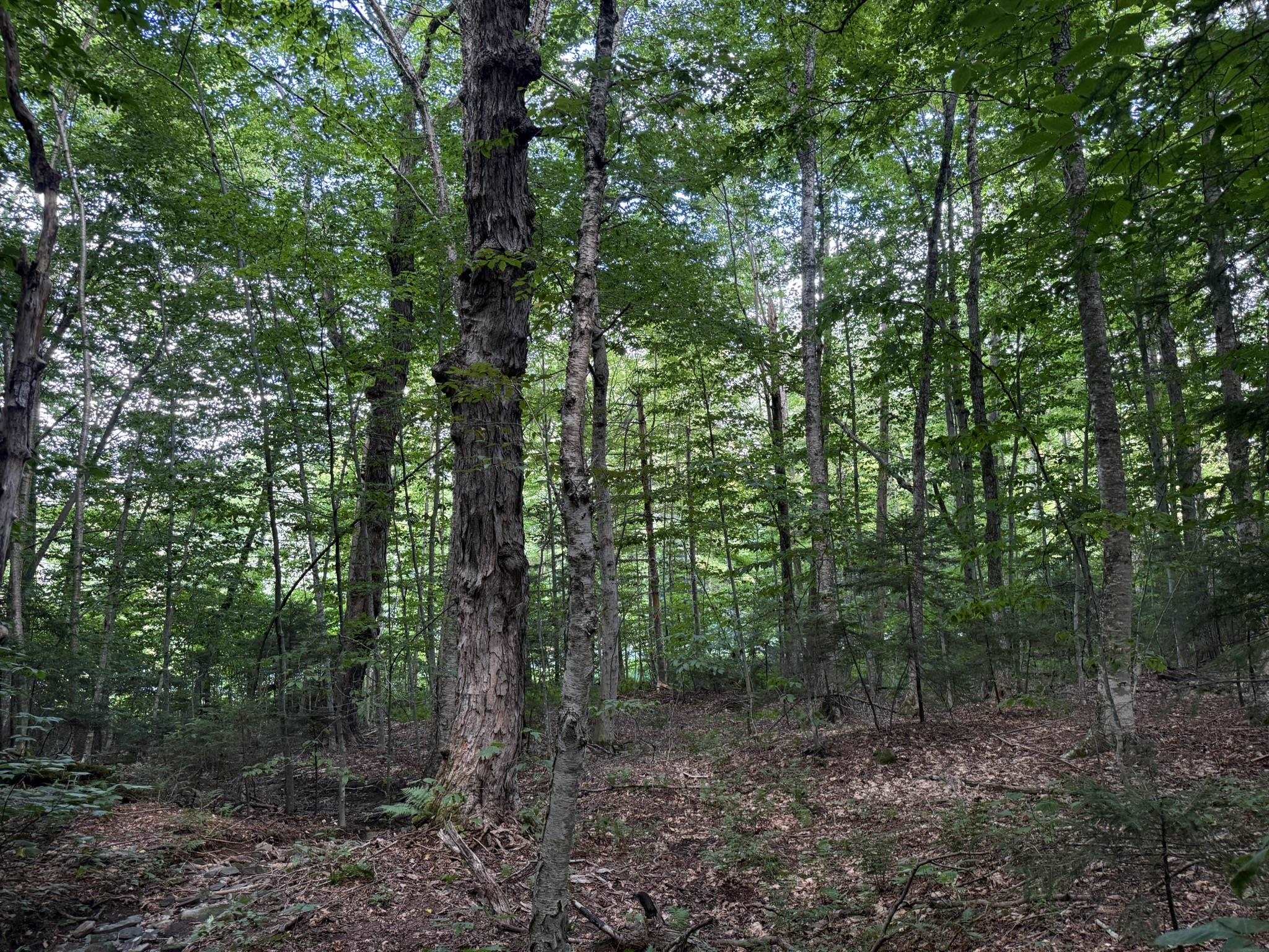 main property photo 10