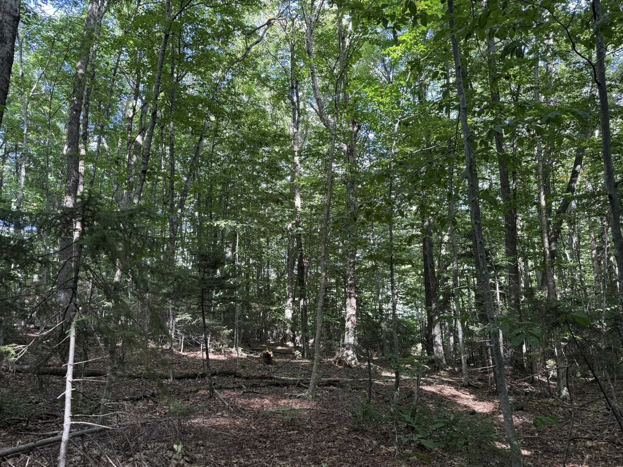 main property photo 9