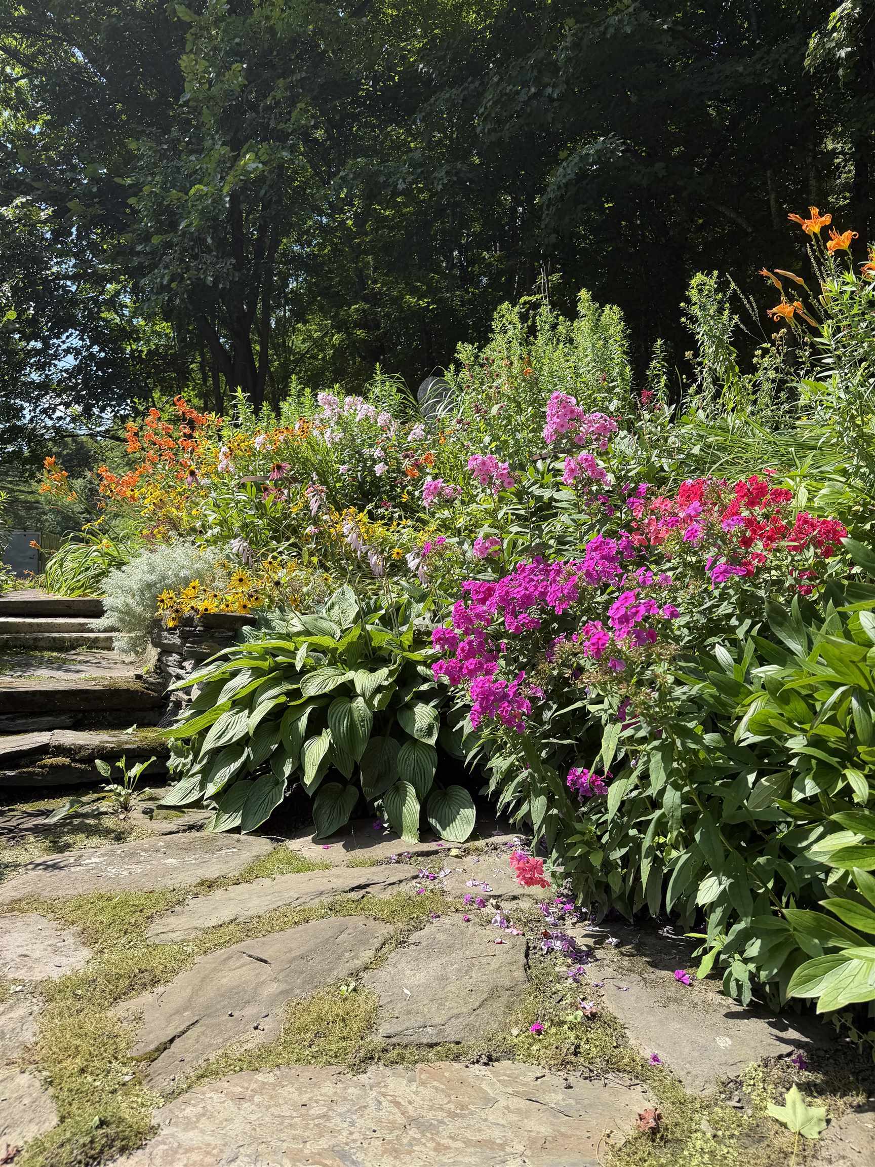 main property photo 58