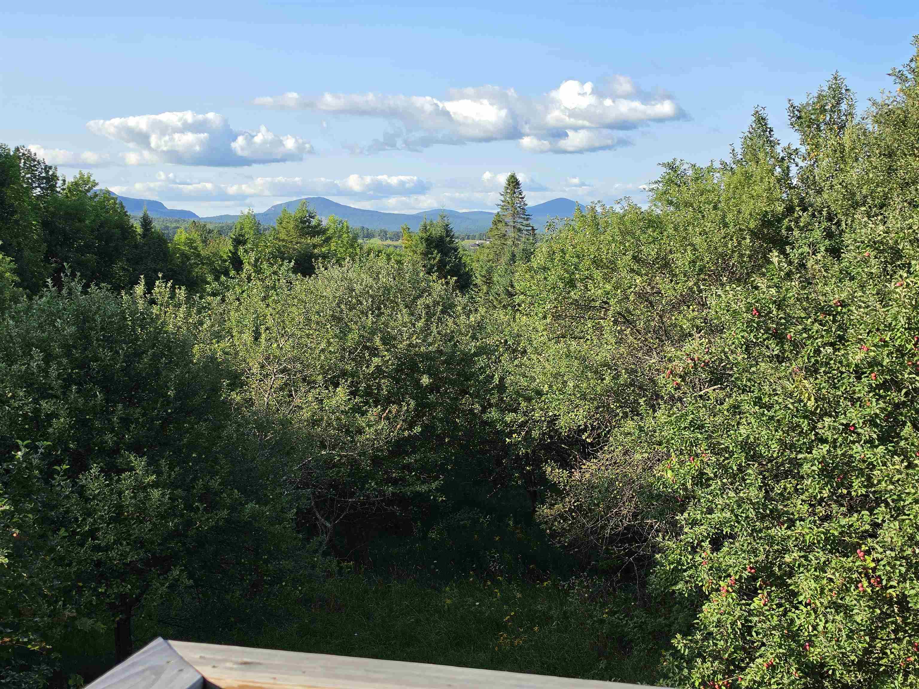 main property photo 50