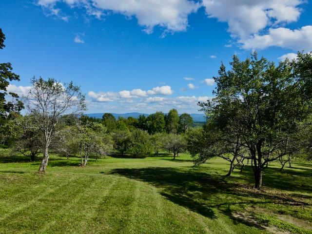 main property photo 54