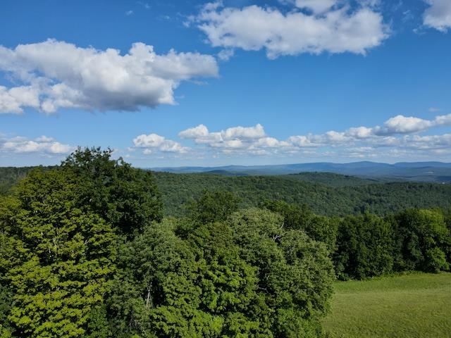 main property photo 56