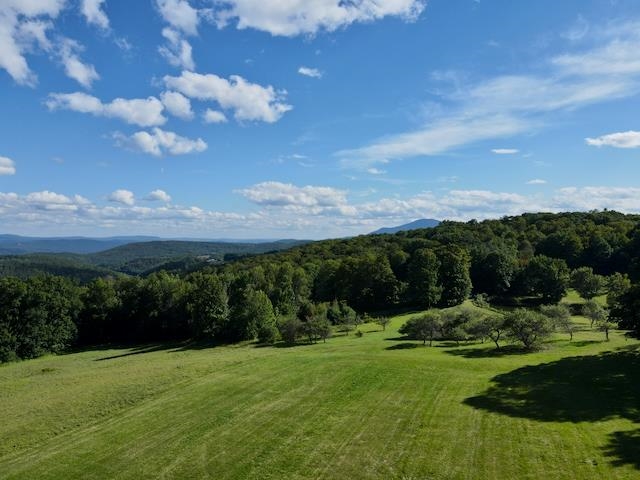 main property photo 58