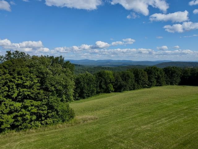 main property photo 59