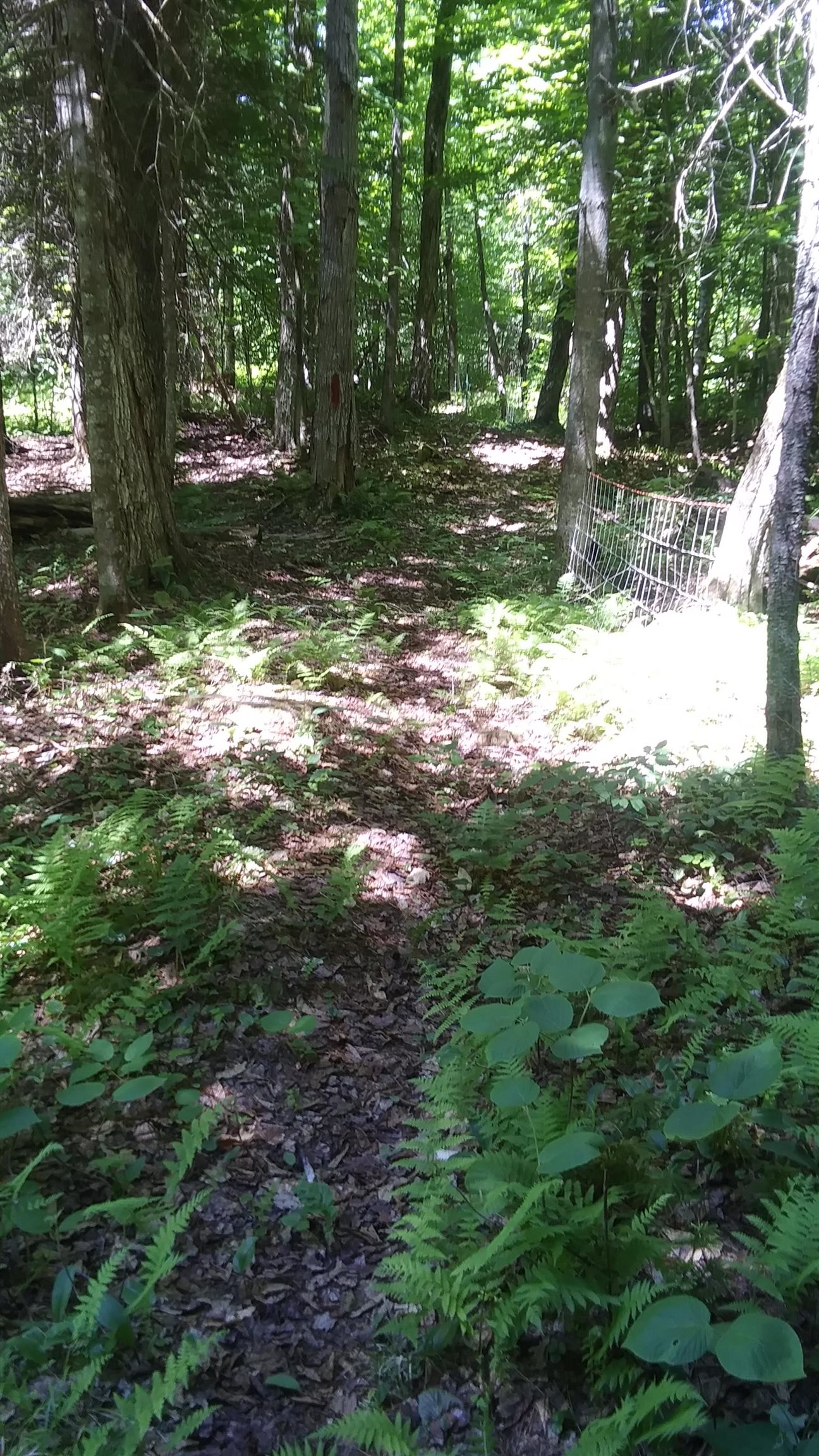 main property photo 34