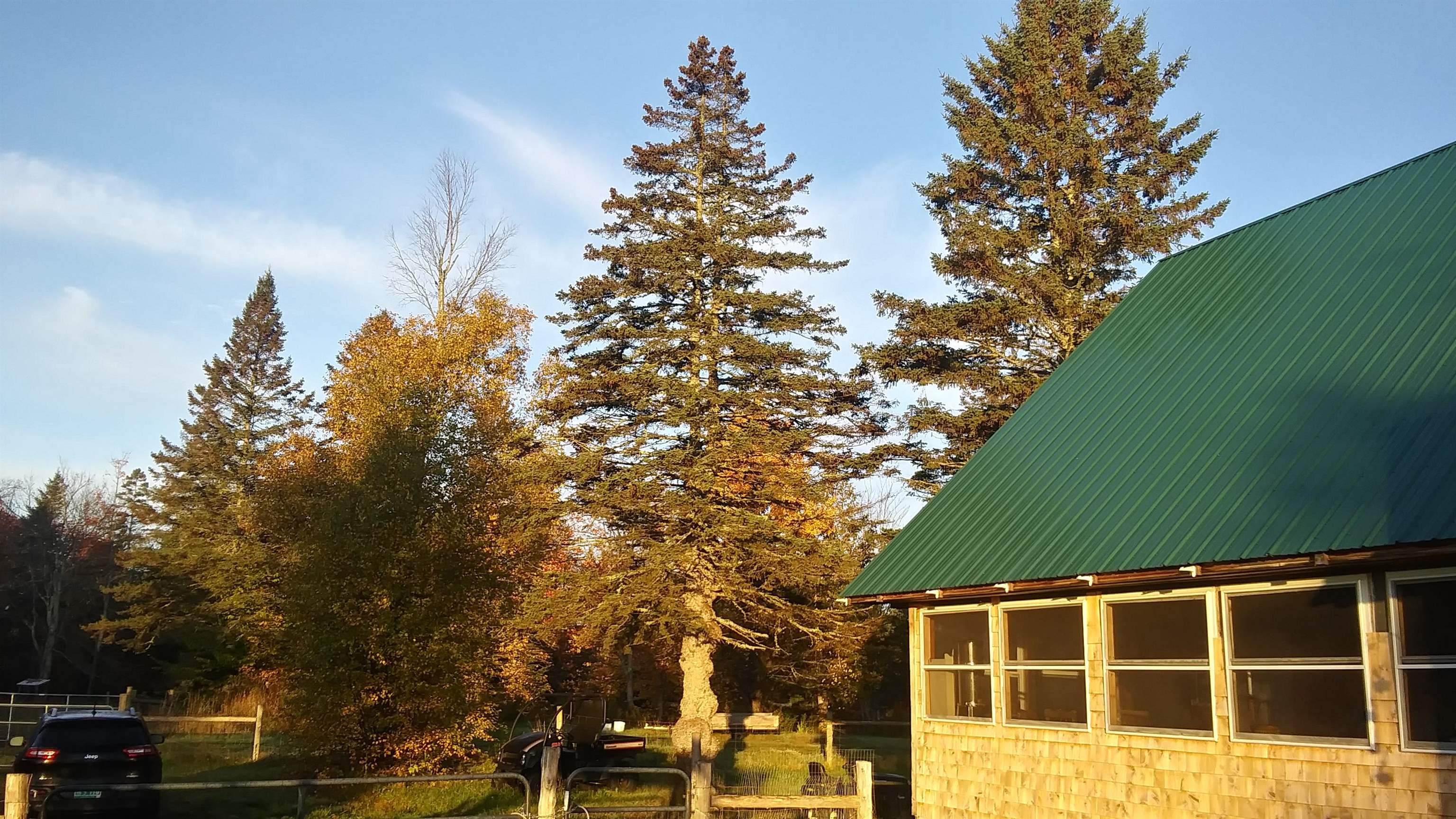 main property photo 37