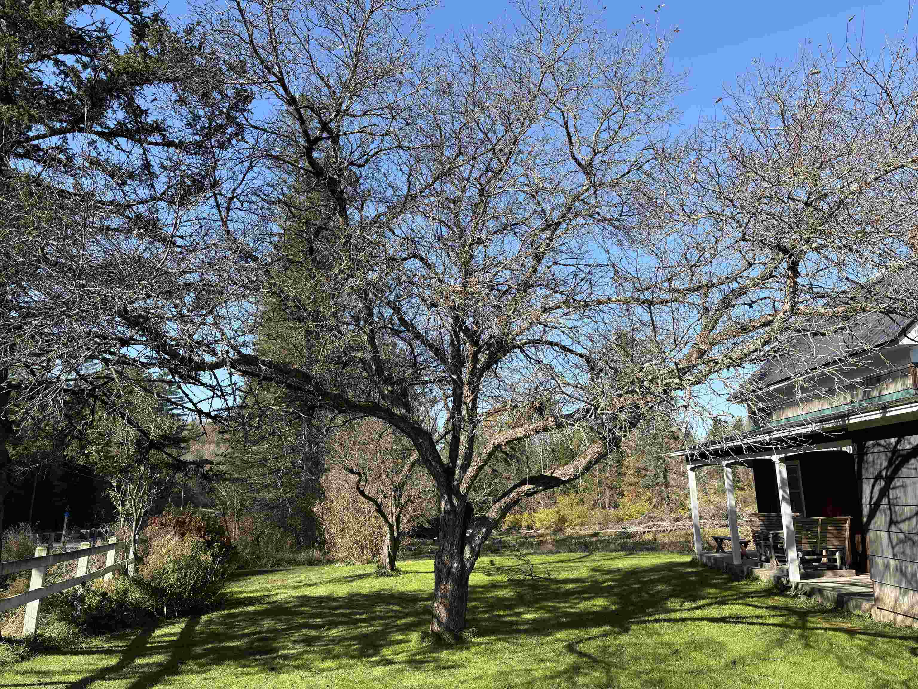 main property photo 58