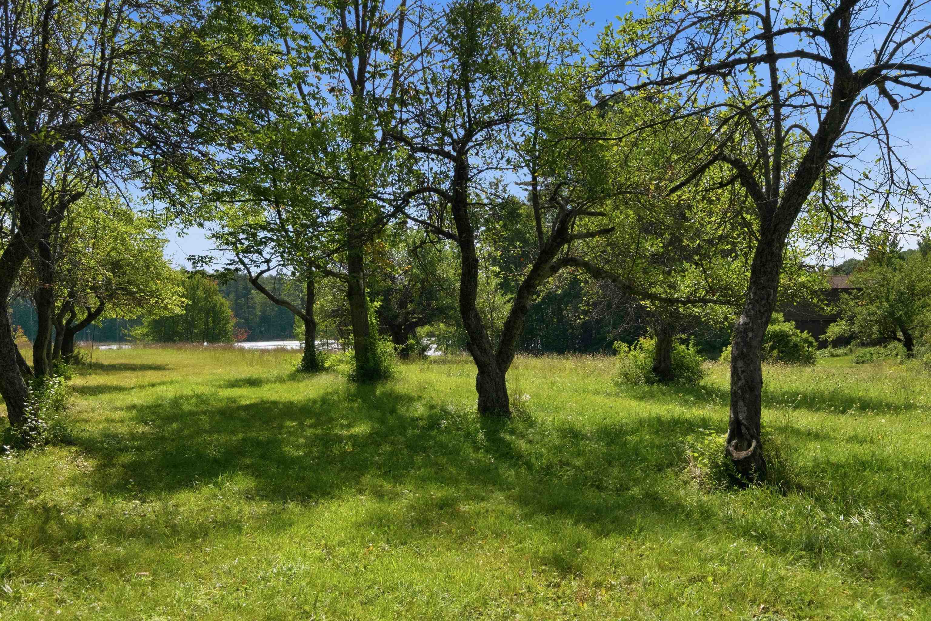 main property photo 55
