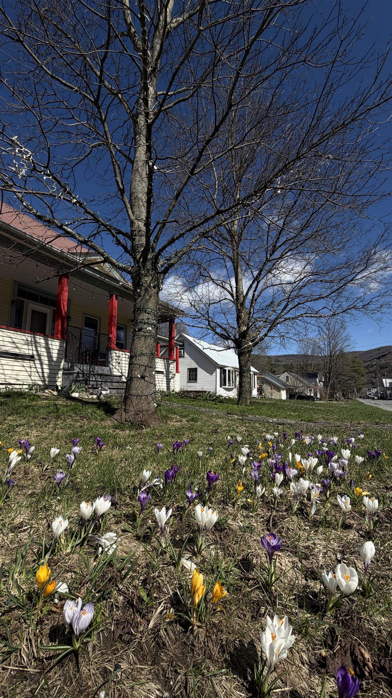 main property photo 43