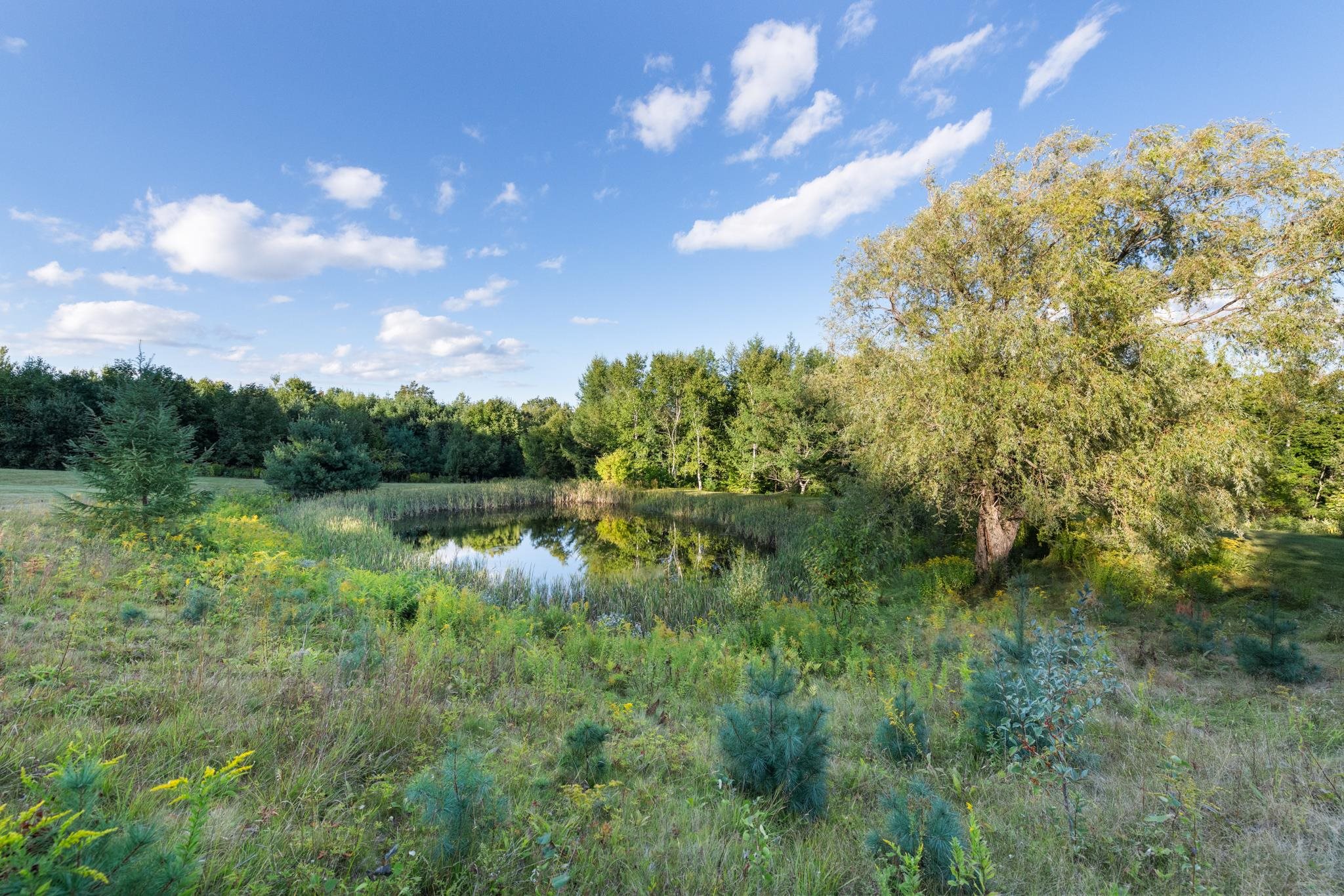 main property photo 55