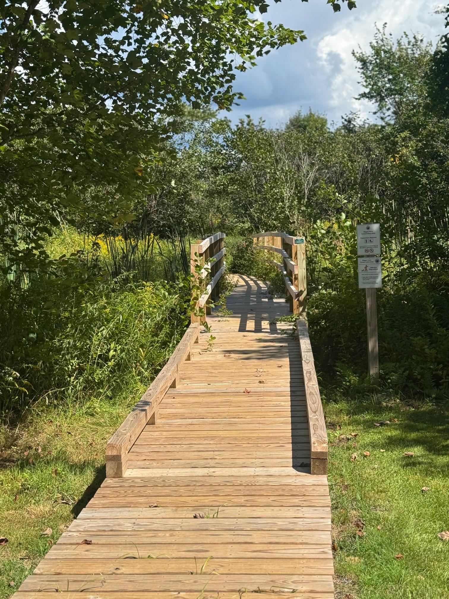 main property photo 48