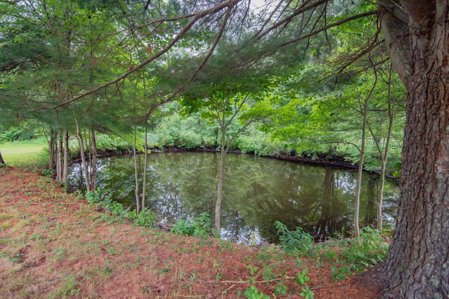 main property photo 44