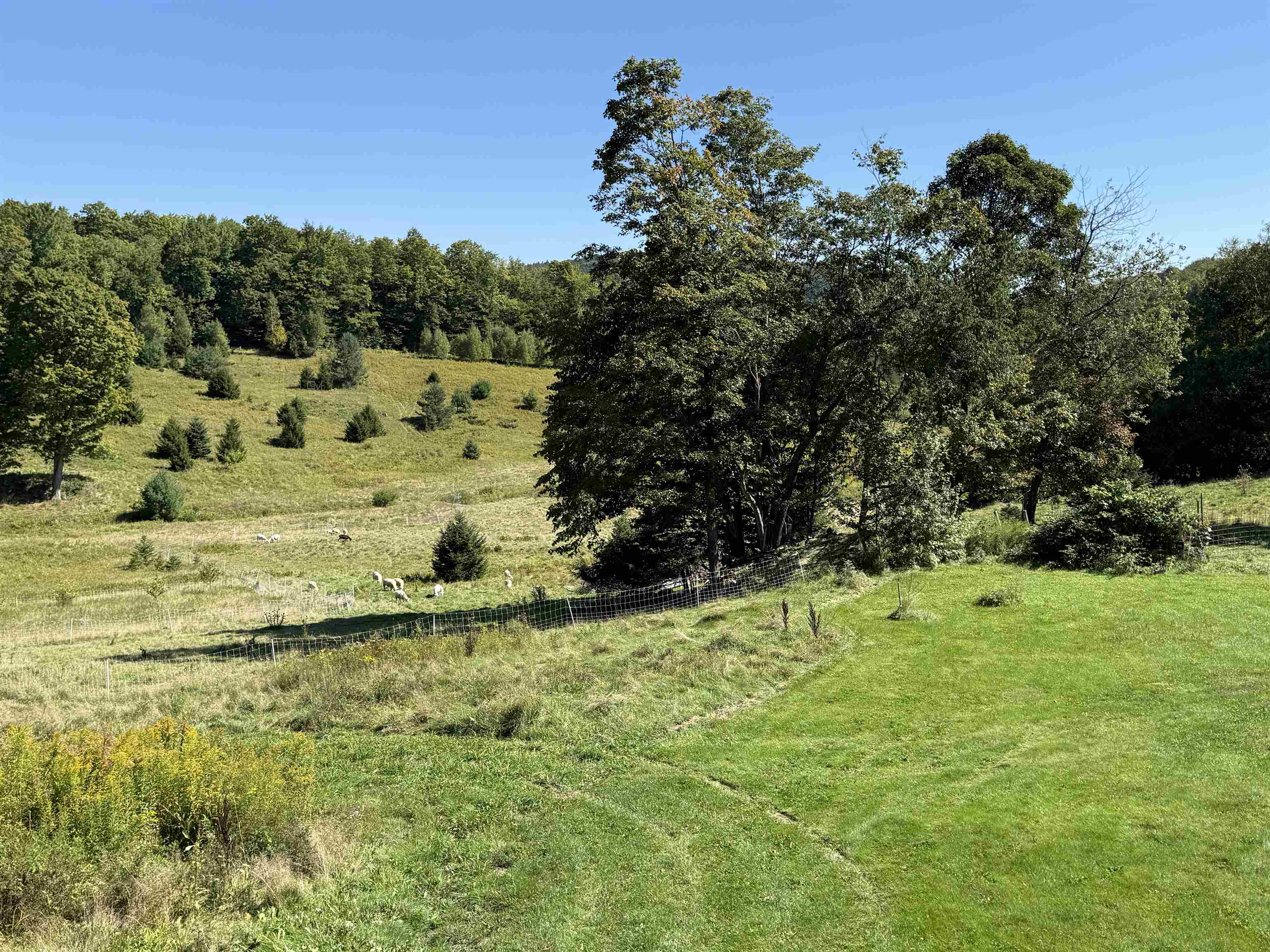 main property photo 31