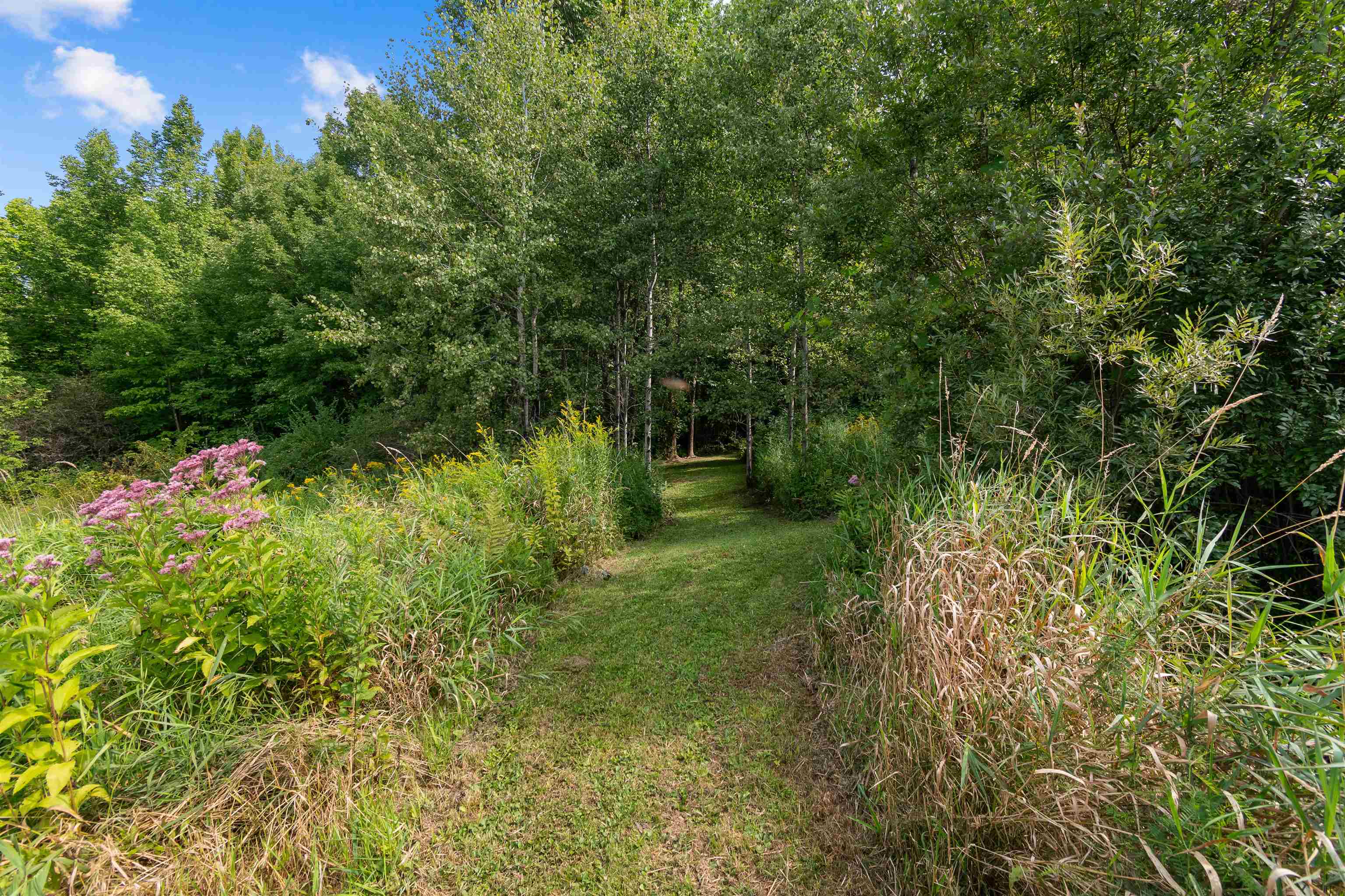 main property photo 58