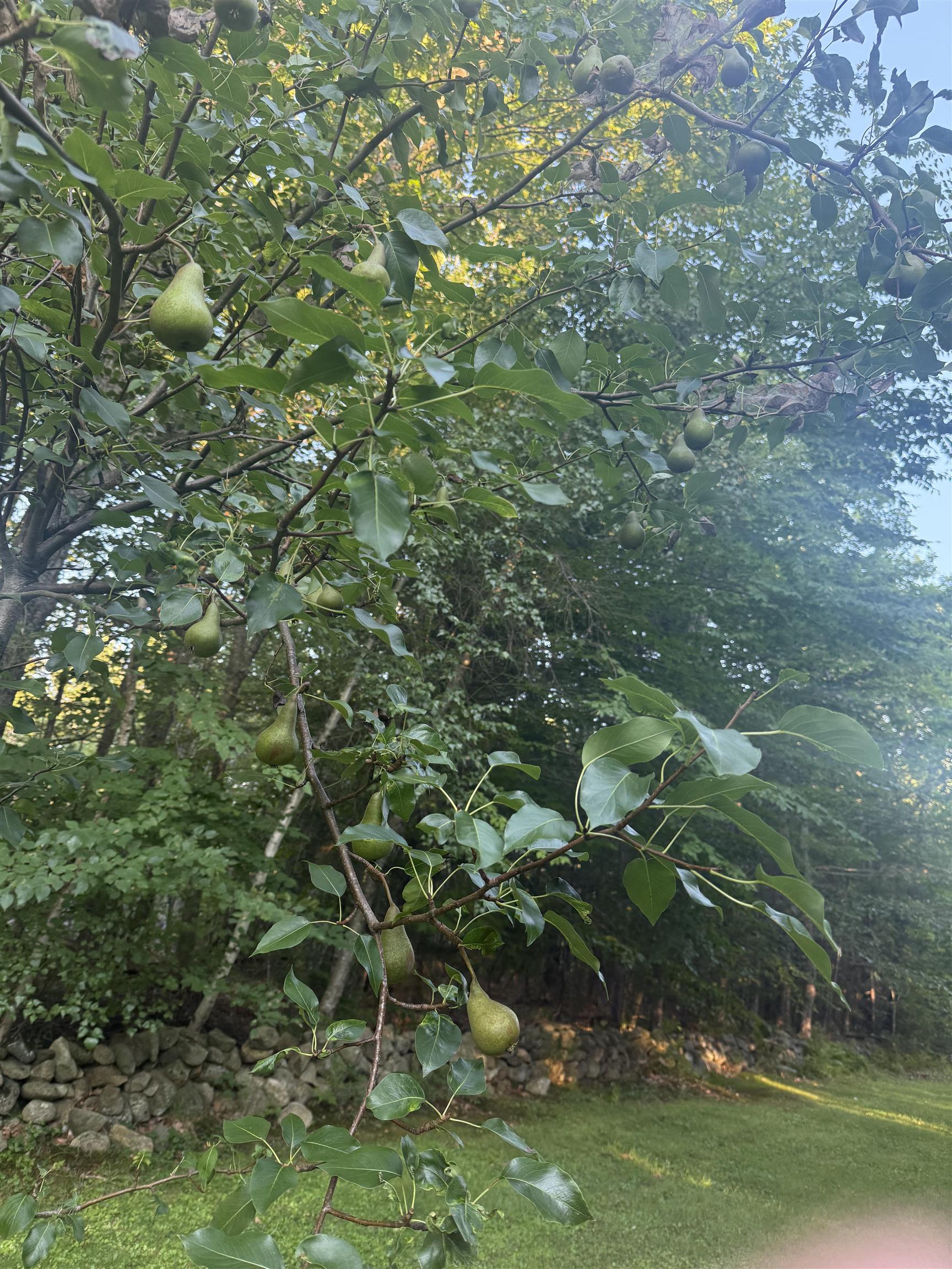 main property photo 8