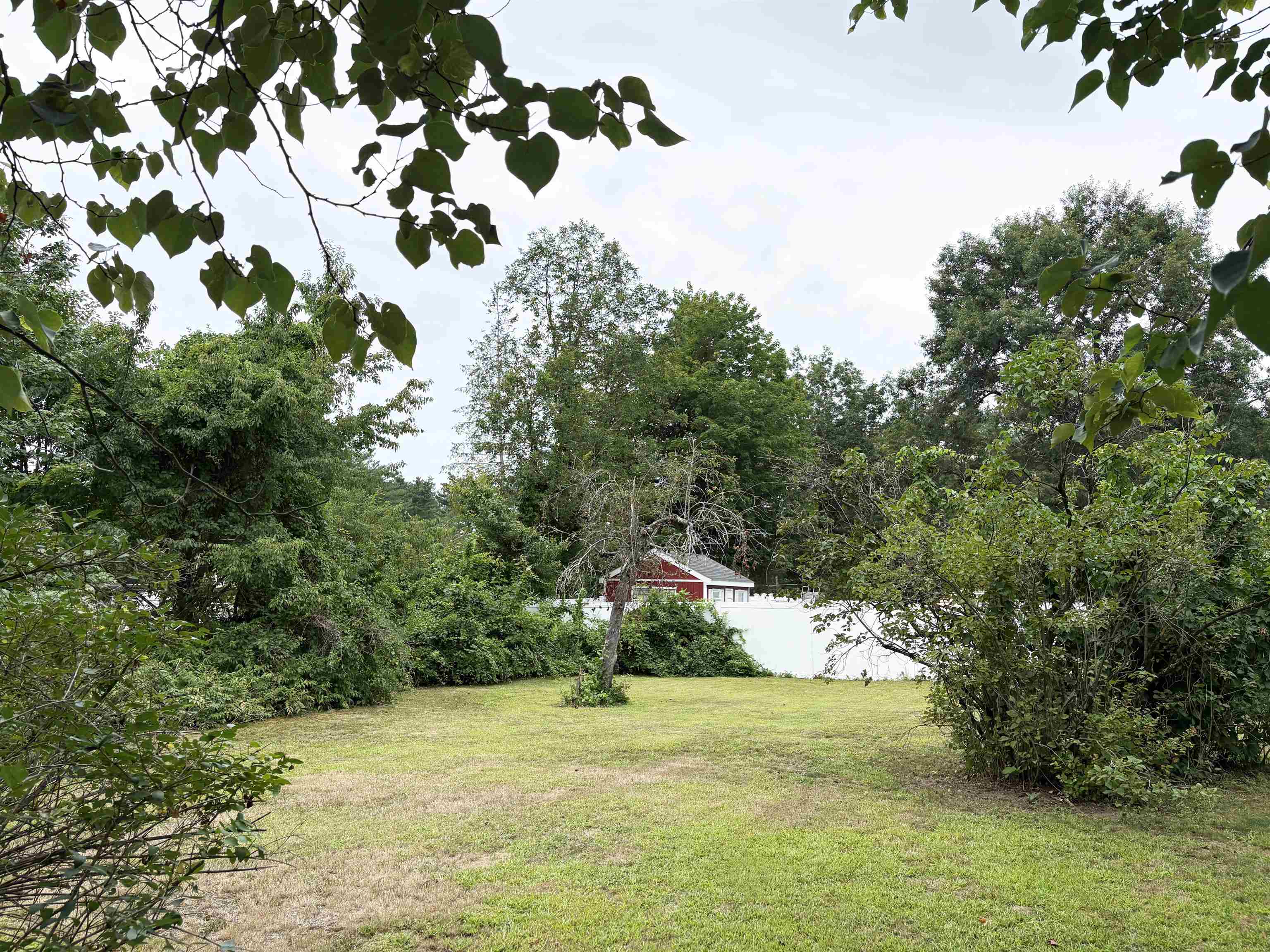 main property photo 54