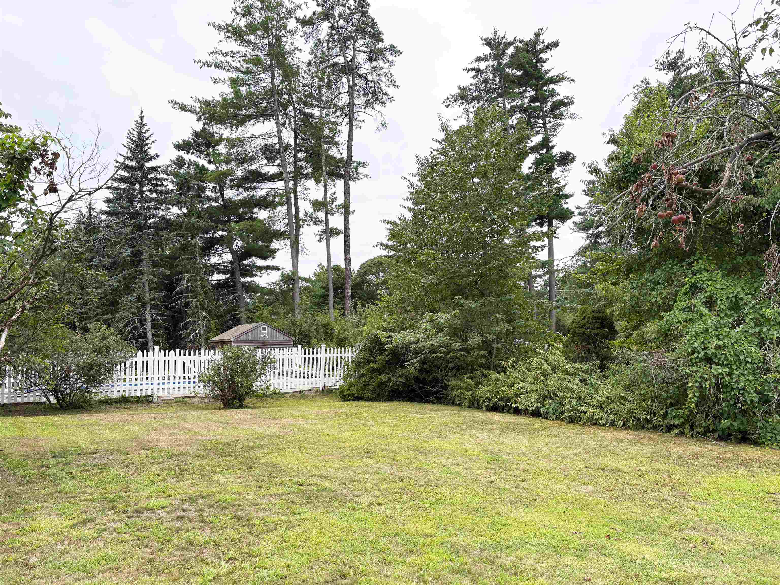 main property photo 55
