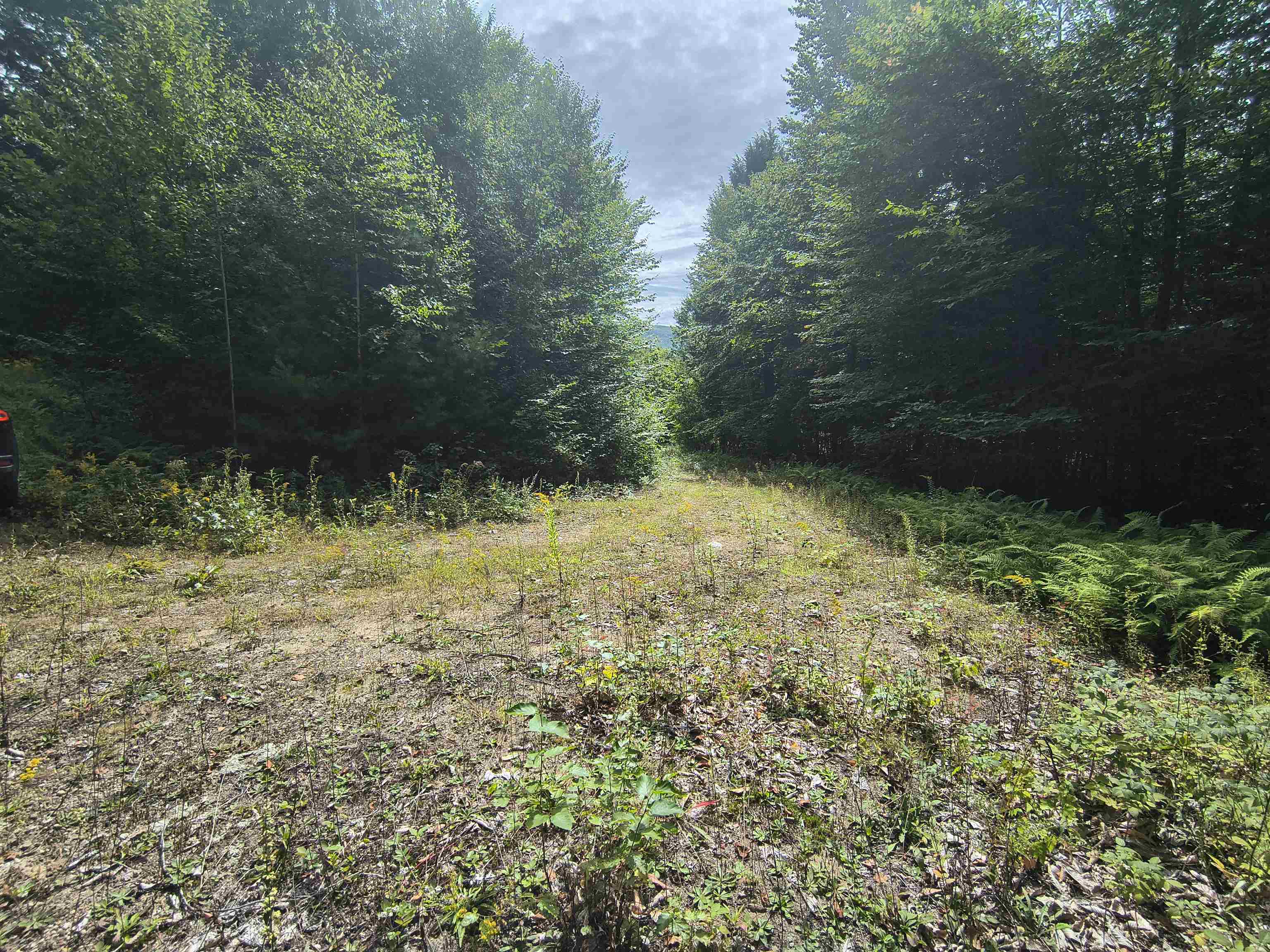 main property photo 10