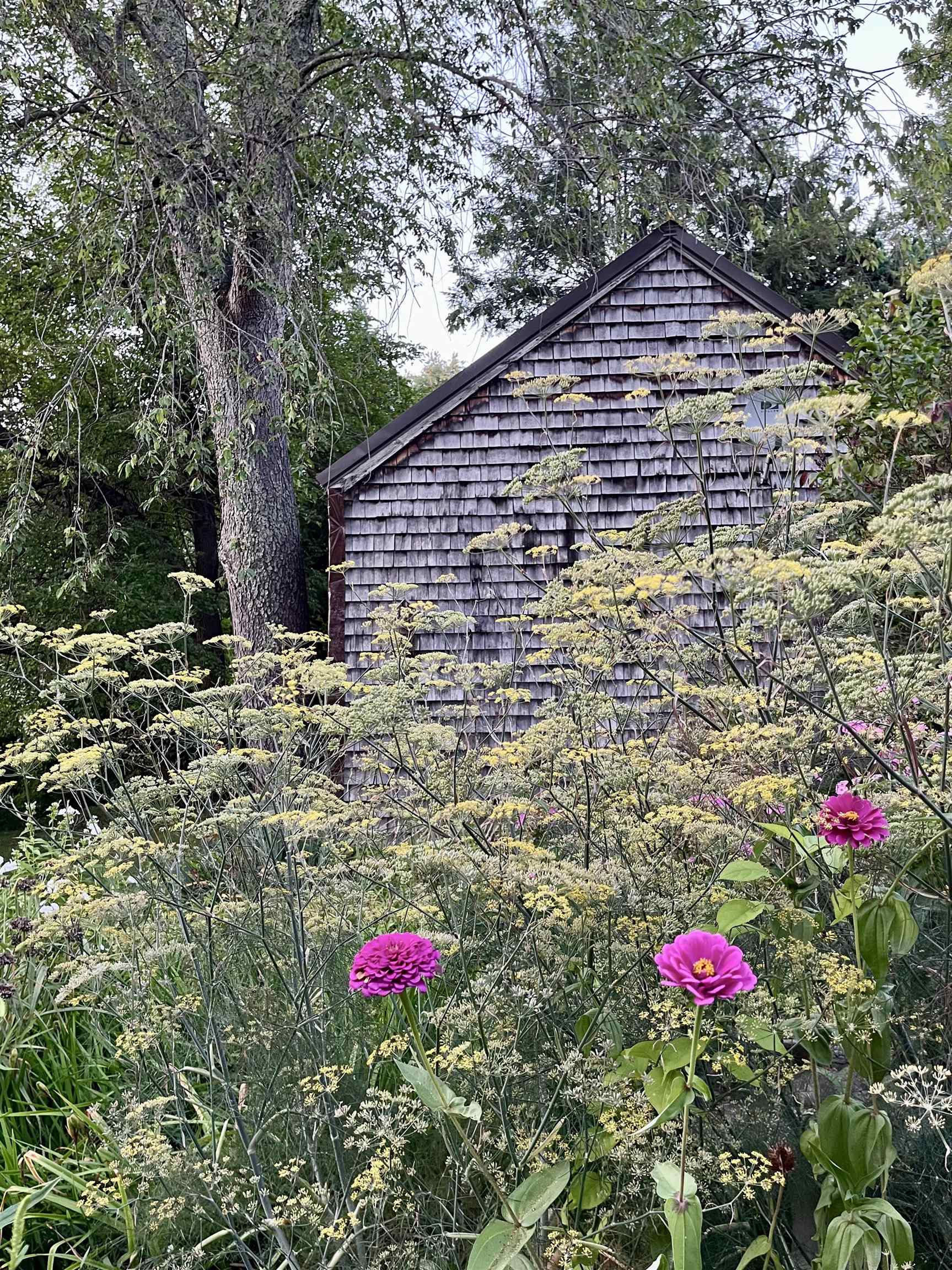 main property photo 45