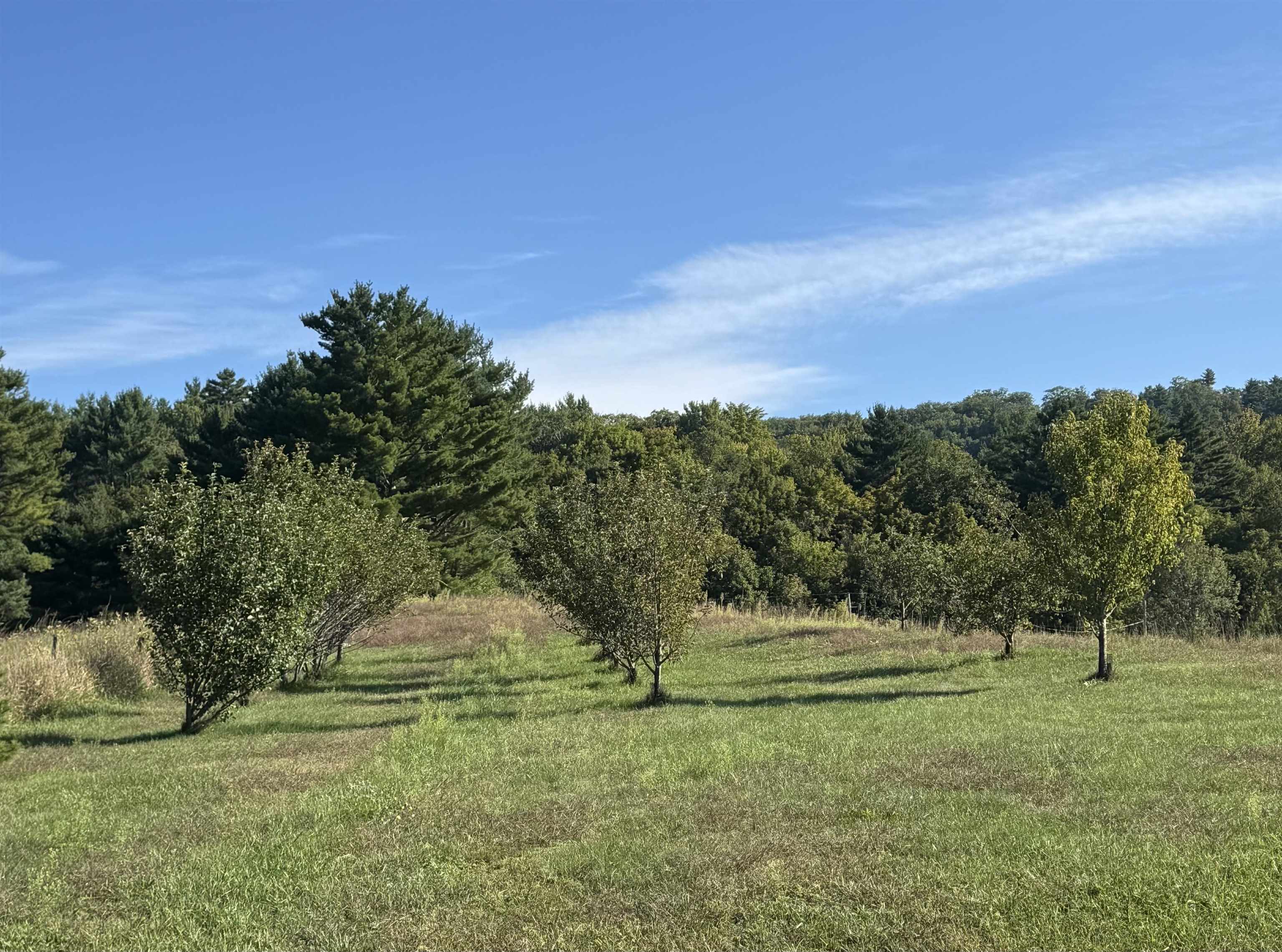 main property photo 54
