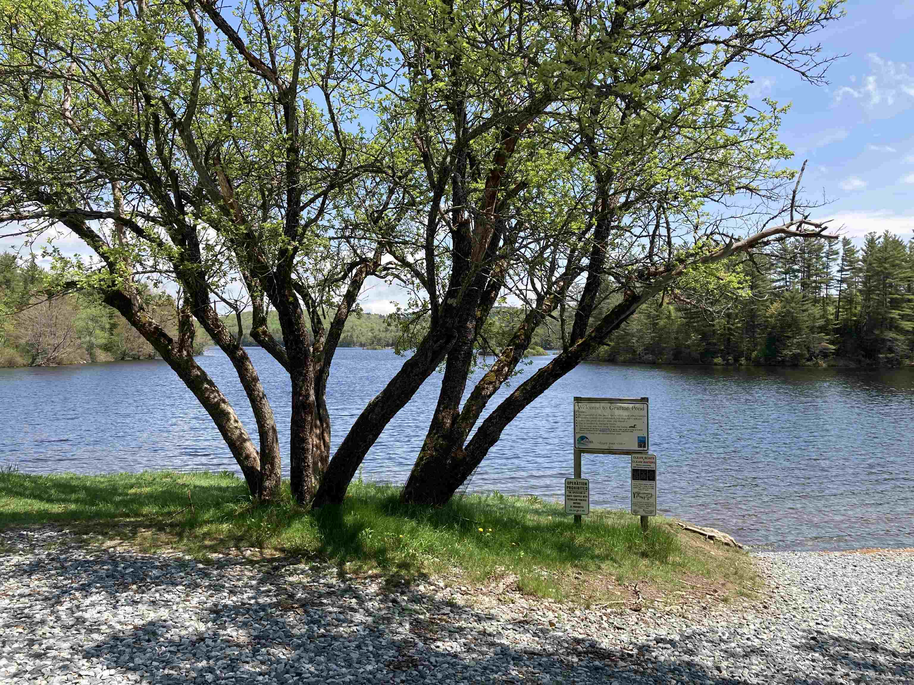 main property photo 58