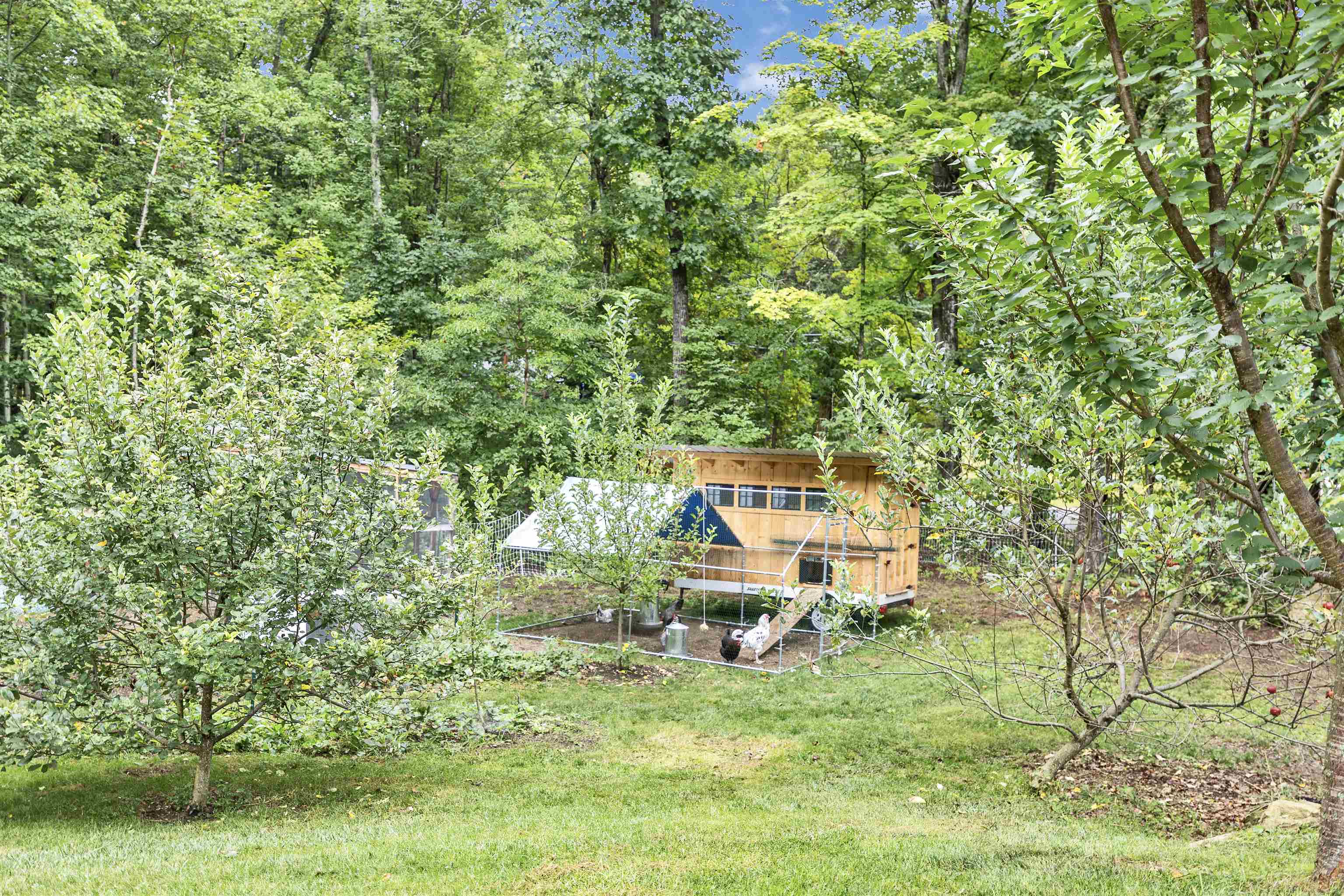 main property photo 34