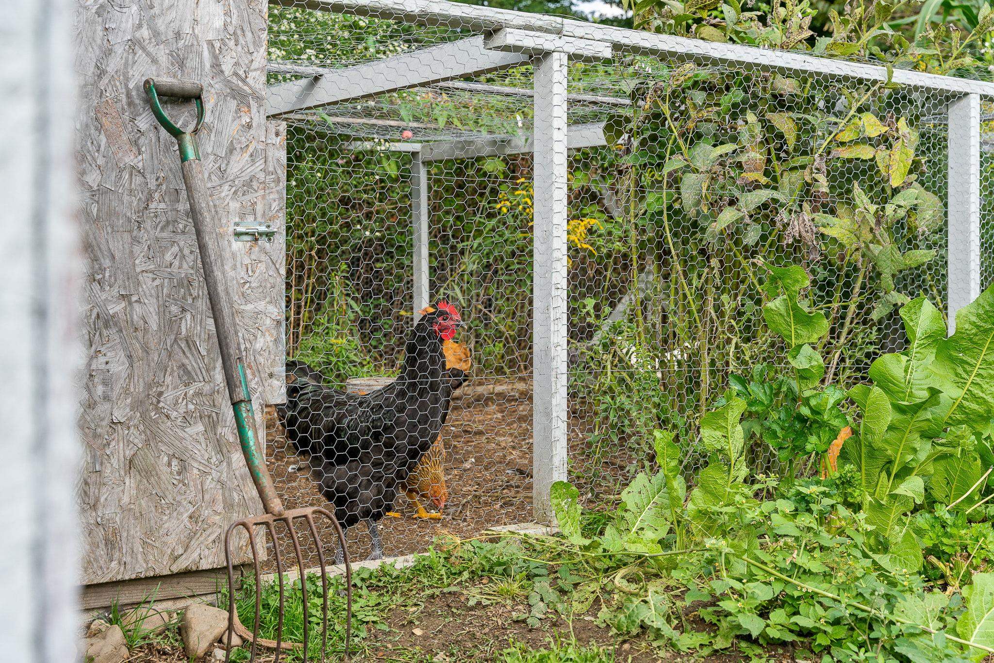 main property photo 50
