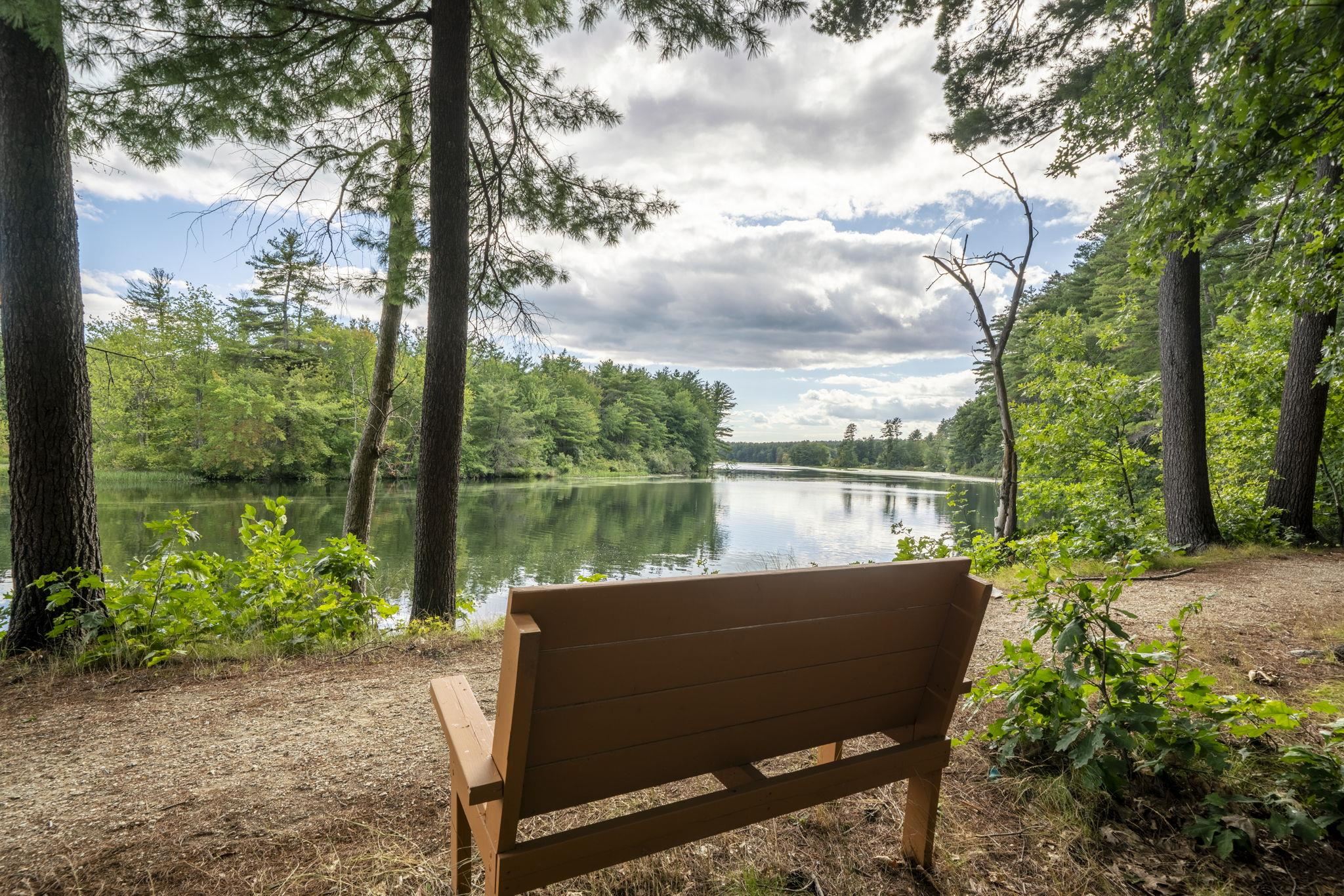 main property photo 50
