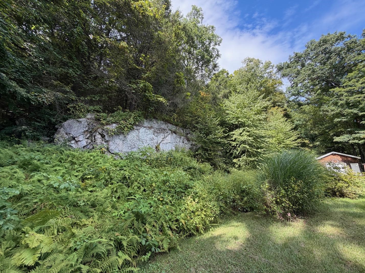 main property photo 38